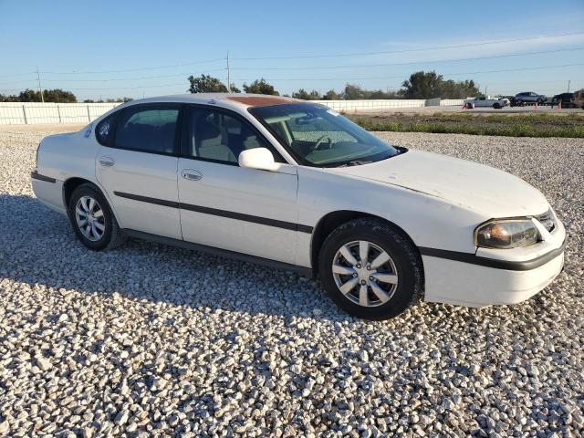 Photo 3 VIN: 2G1WF52K059325189 - CHEVROLET IMPALA 