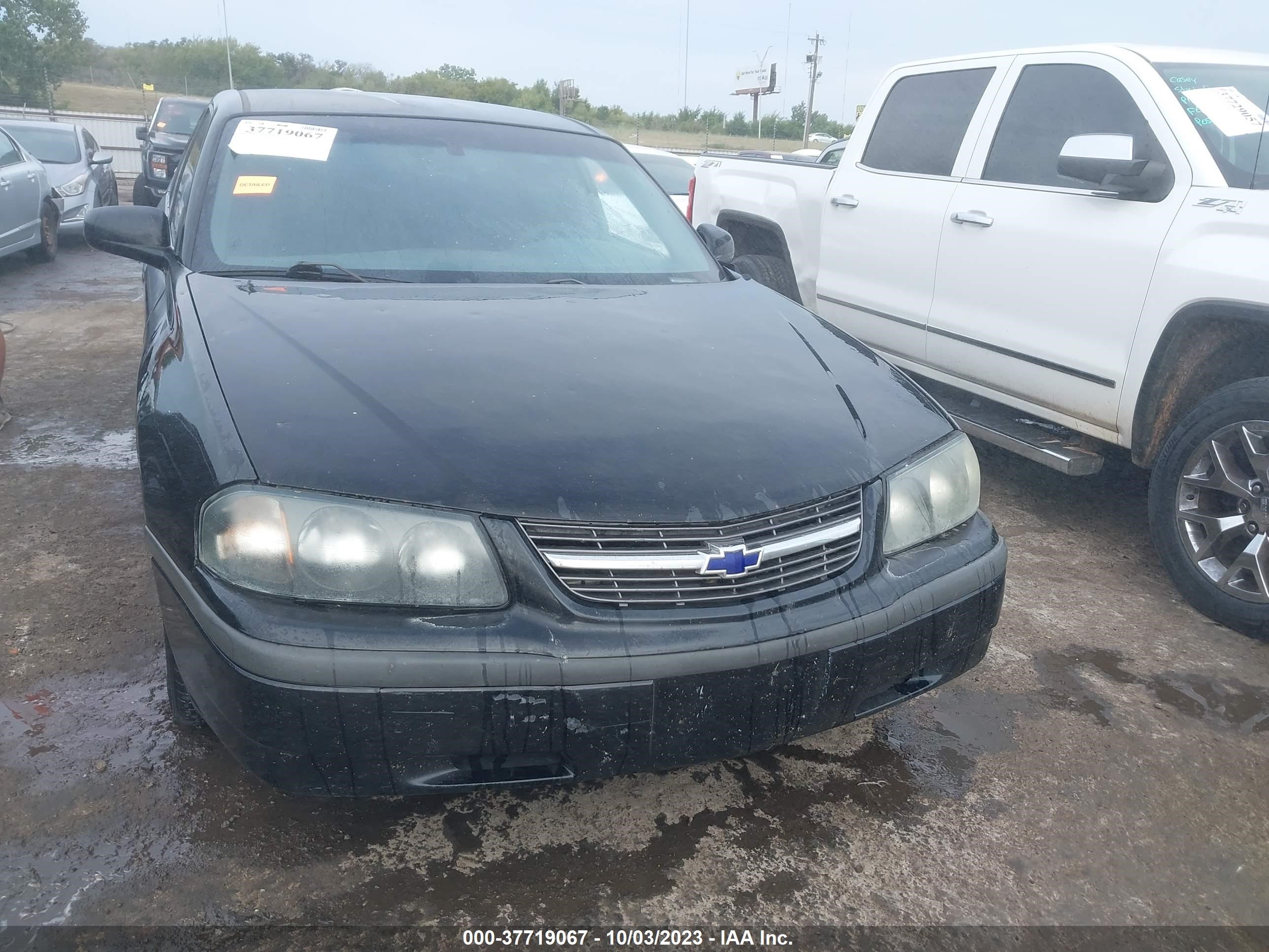 Photo 10 VIN: 2G1WF52K949453493 - CHEVROLET IMPALA 