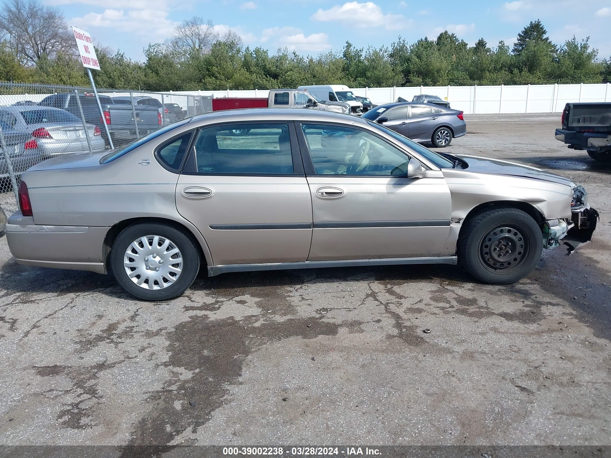 Photo 12 VIN: 2G1WF55E519298099 - CHEVROLET IMPALA 