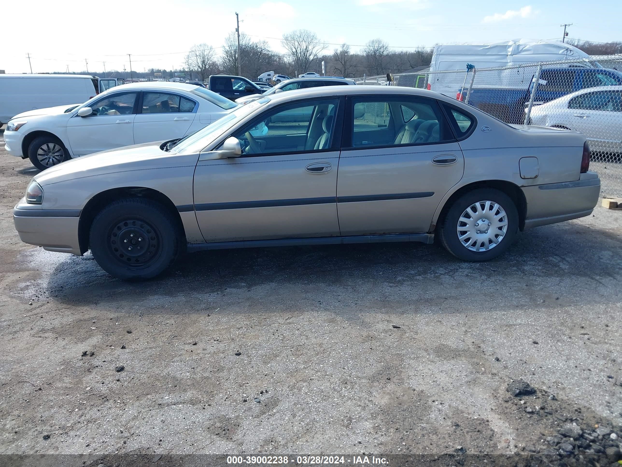 Photo 13 VIN: 2G1WF55E519298099 - CHEVROLET IMPALA 