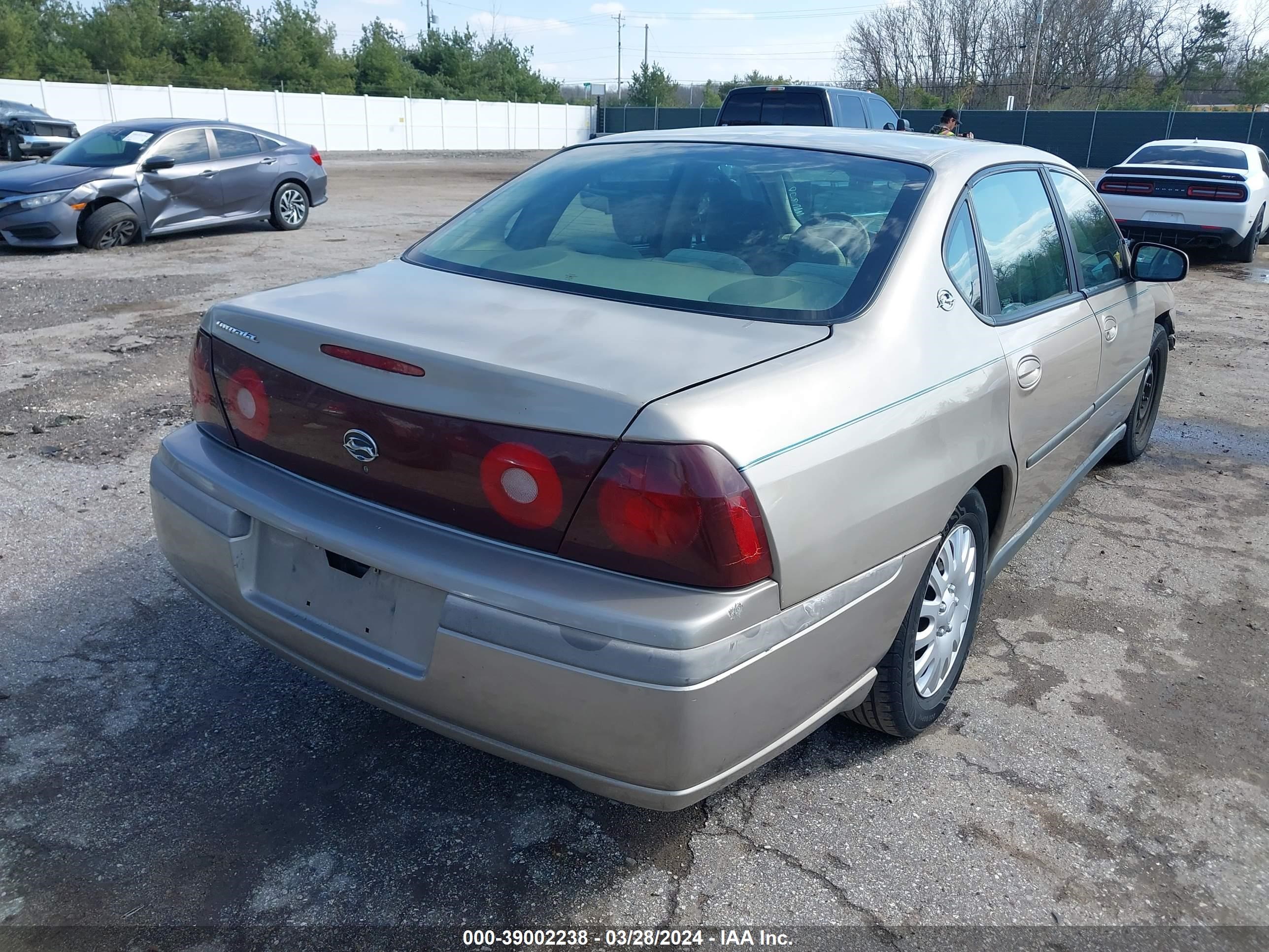 Photo 3 VIN: 2G1WF55E519298099 - CHEVROLET IMPALA 