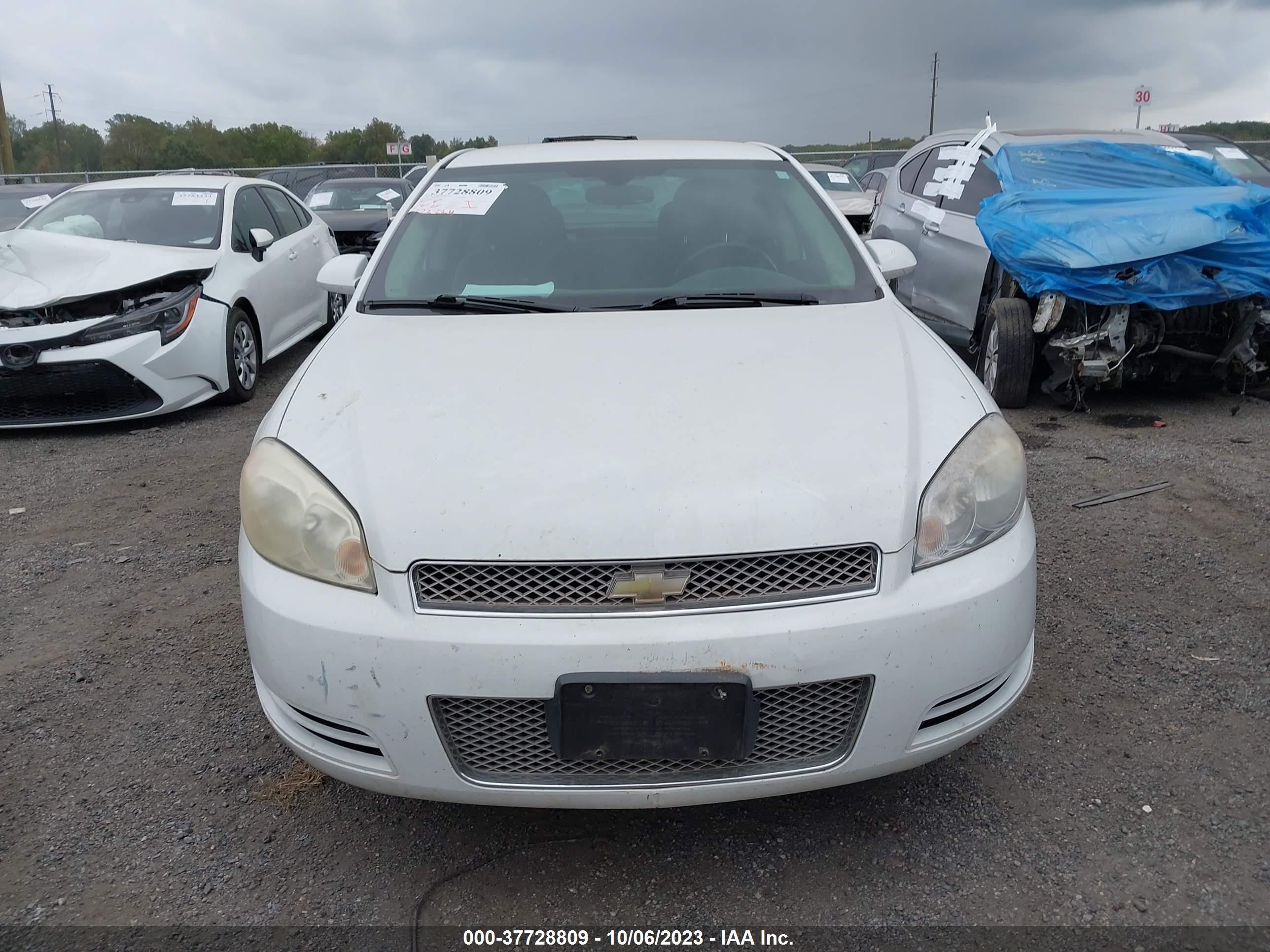 Photo 11 VIN: 2G1WG5E35C1228647 - CHEVROLET IMPALA 