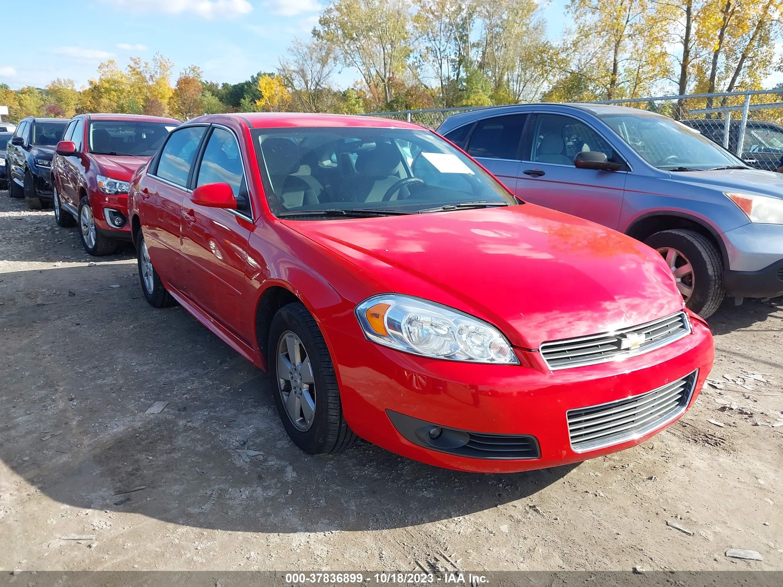 Photo 12 VIN: 2G1WG5EK1B1306377 - CHEVROLET IMPALA 