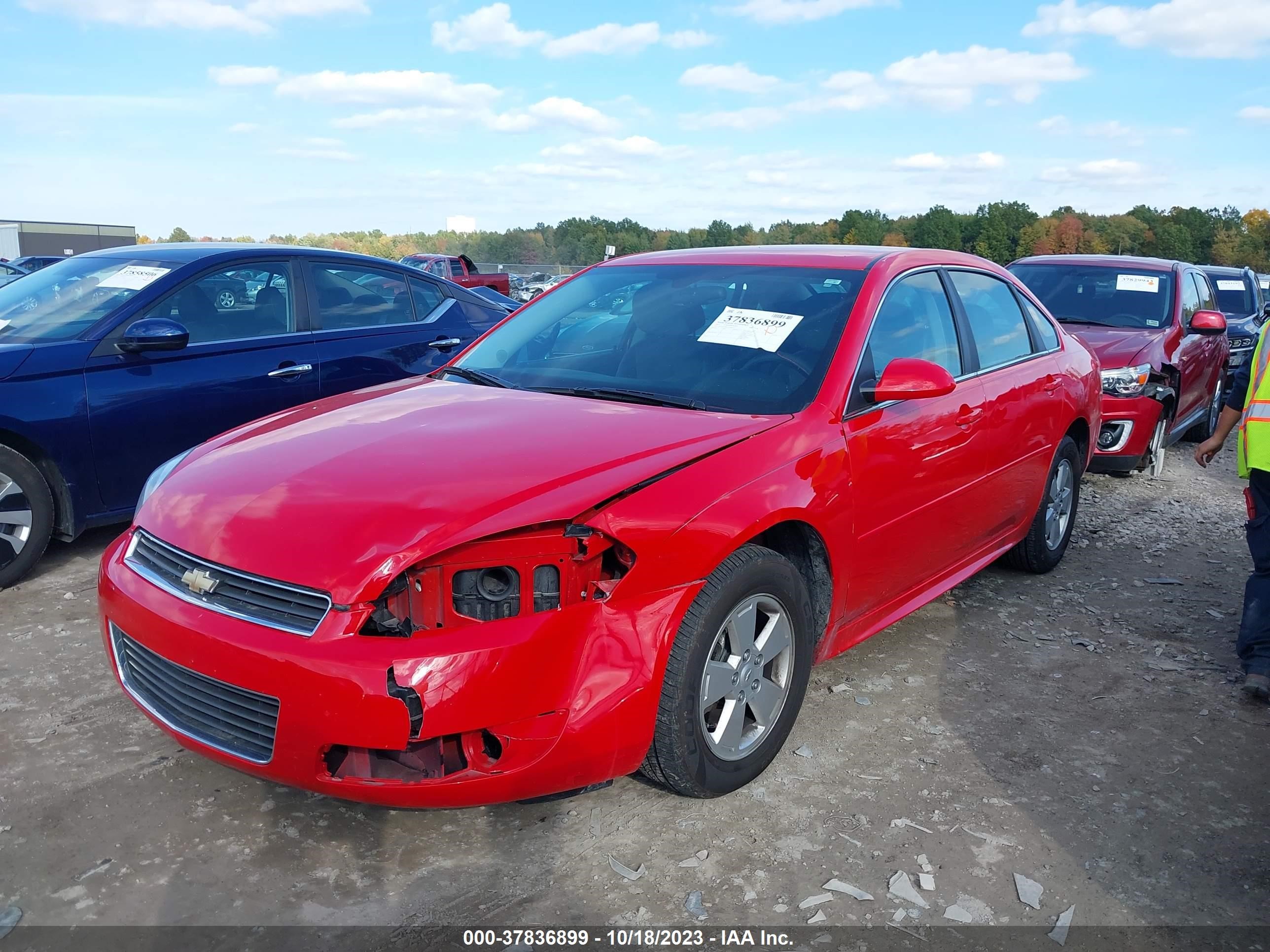 Photo 13 VIN: 2G1WG5EK1B1306377 - CHEVROLET IMPALA 