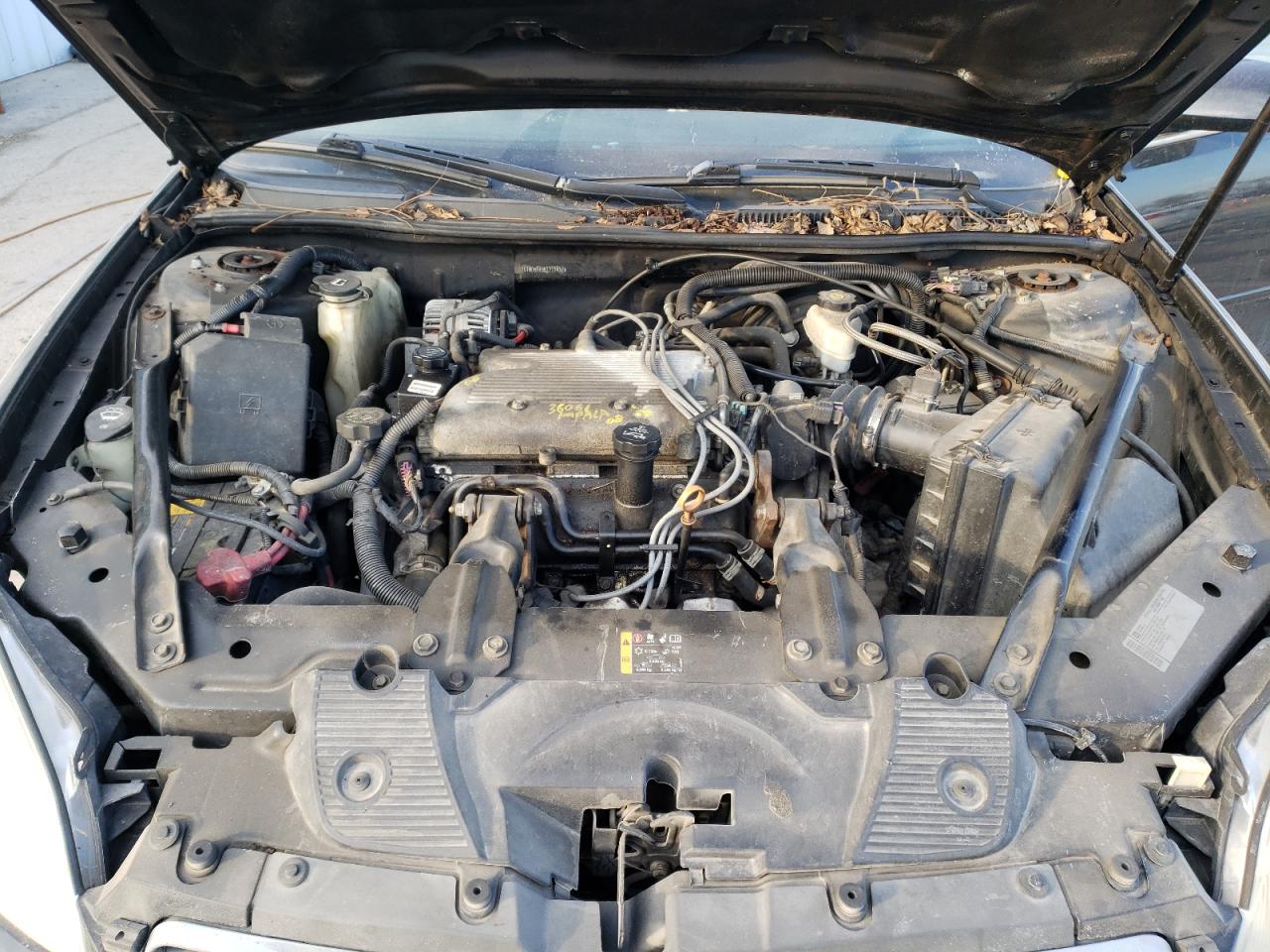 Photo 10 VIN: 2G1WG5EK5B1212437 - CHEVROLET IMPALA 