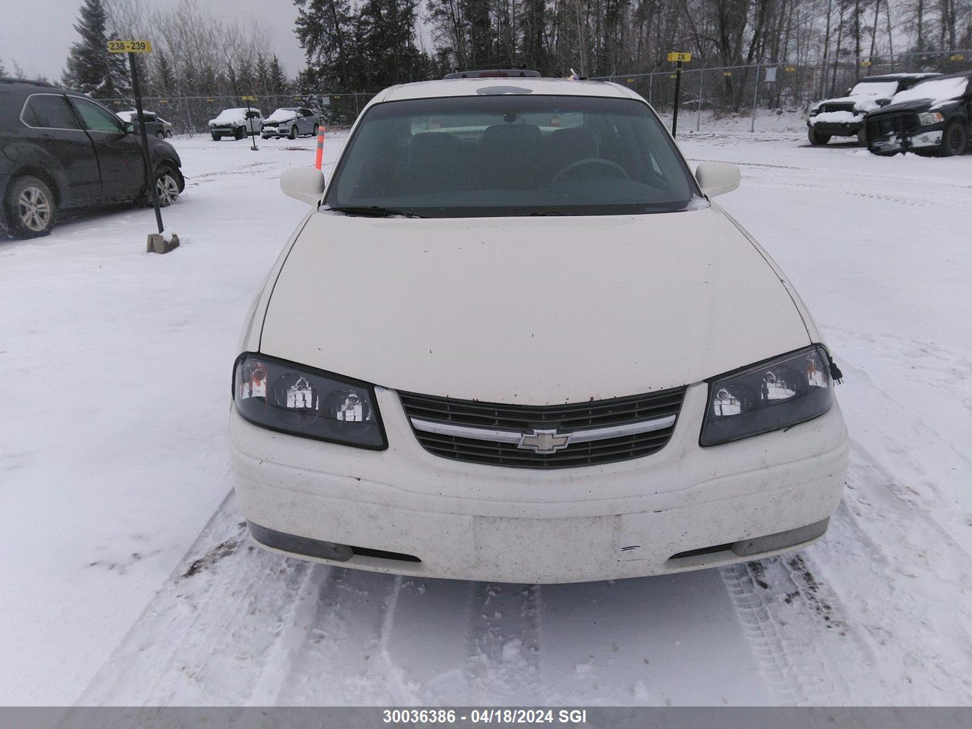 Photo 11 VIN: 2G1WH52K159153538 - CHEVROLET IMPALA 