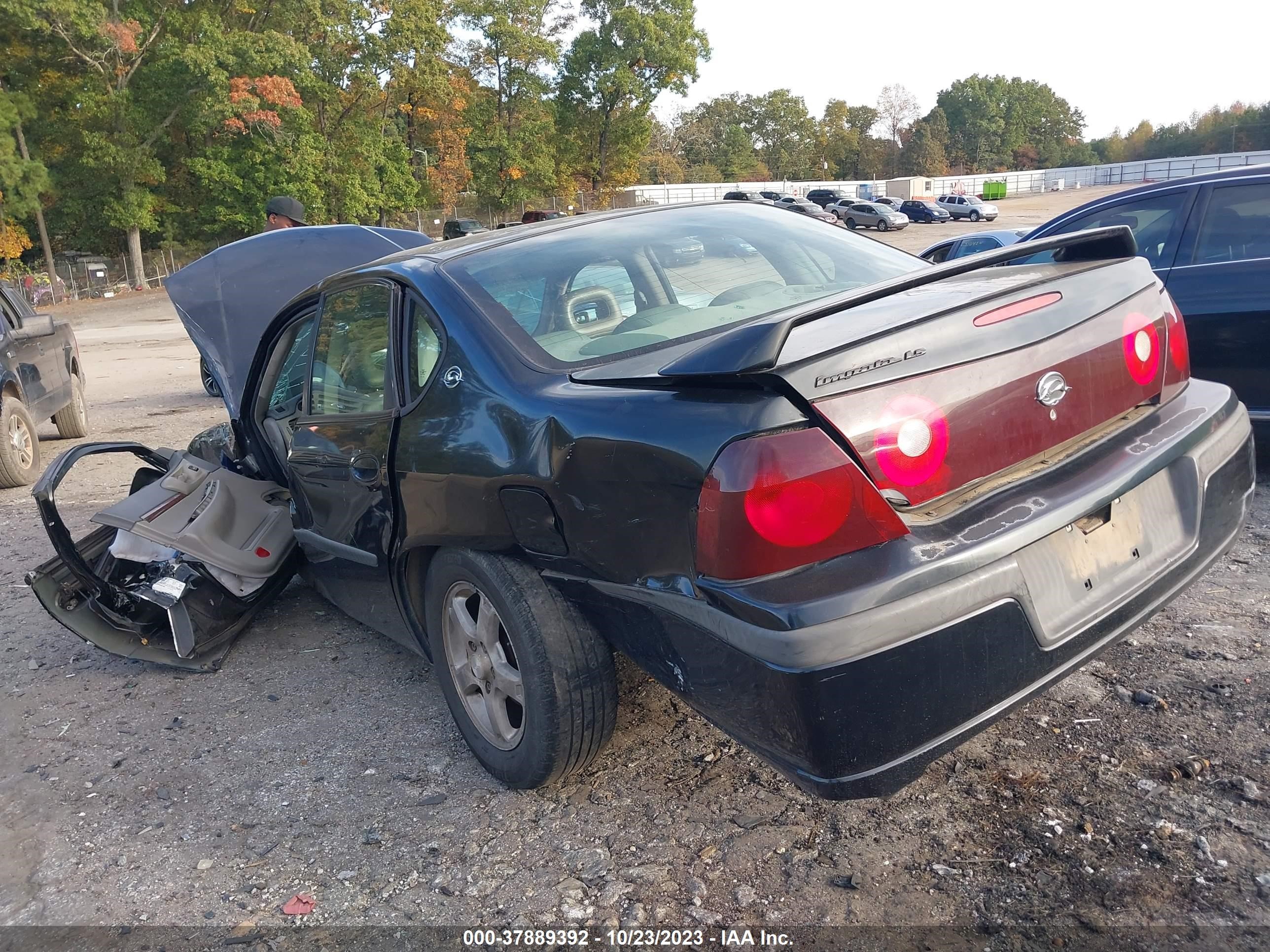 Photo 12 VIN: 2G1WH52K439212661 - CHEVROLET IMPALA 