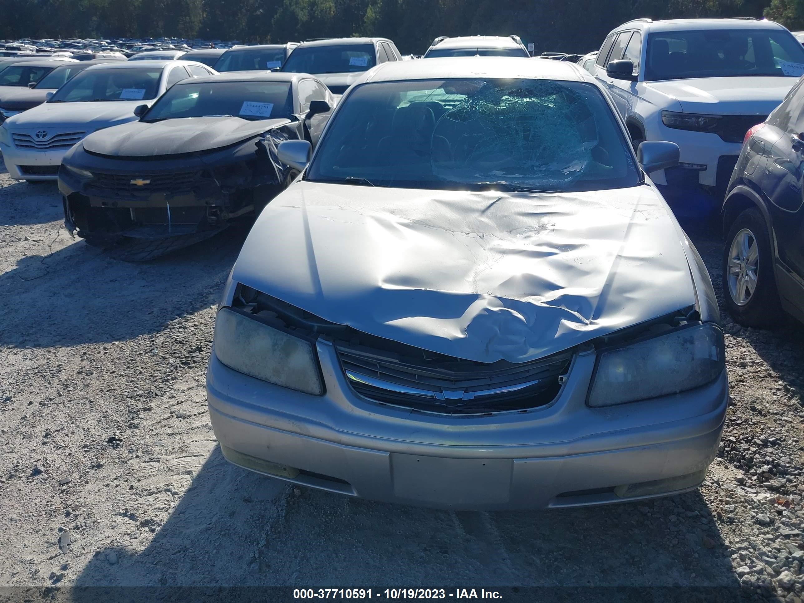 Photo 5 VIN: 2G1WH52K559158046 - CHEVROLET IMPALA 