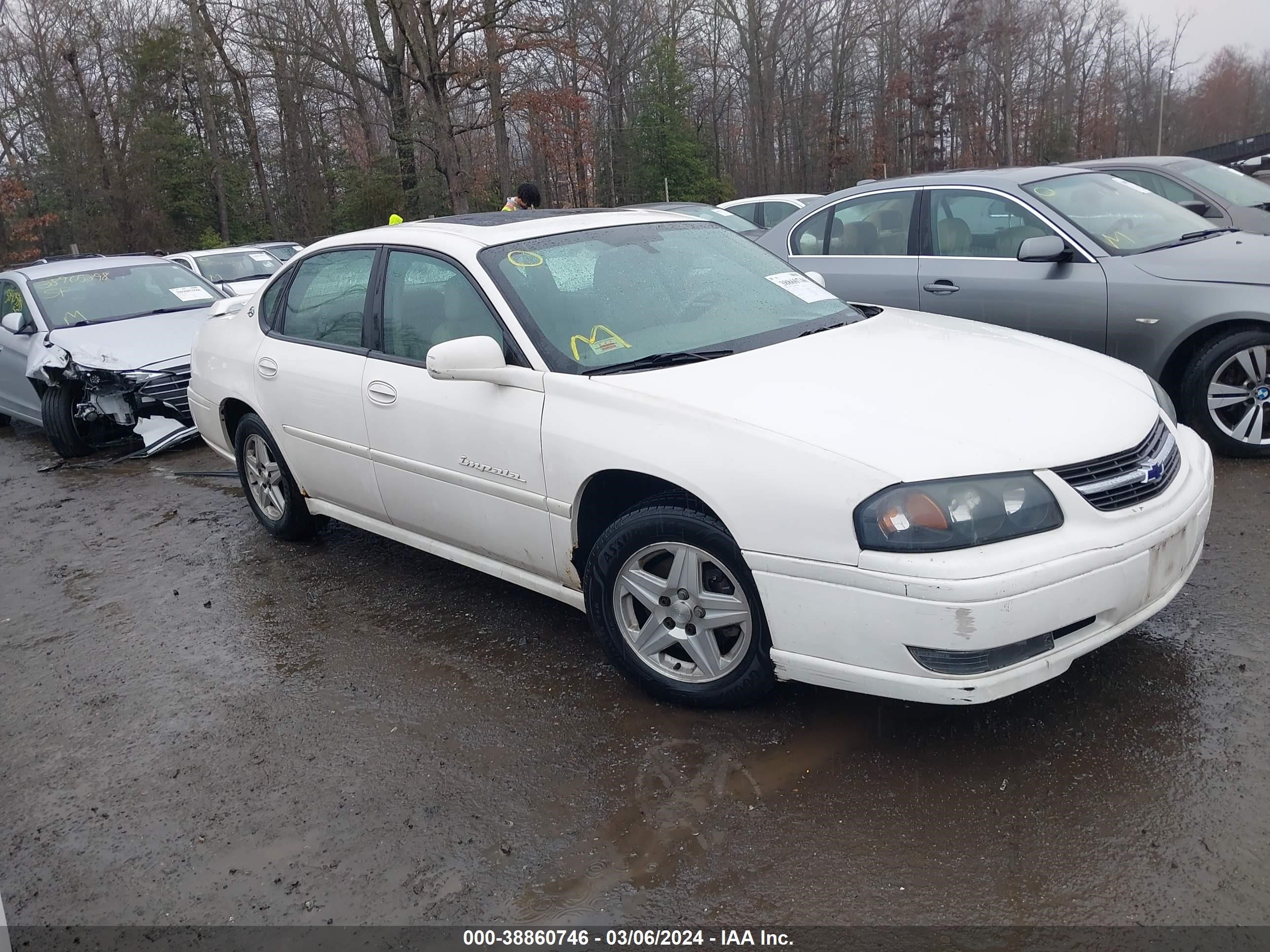 Photo 0 VIN: 2G1WH52K749175381 - CHEVROLET IMPALA 