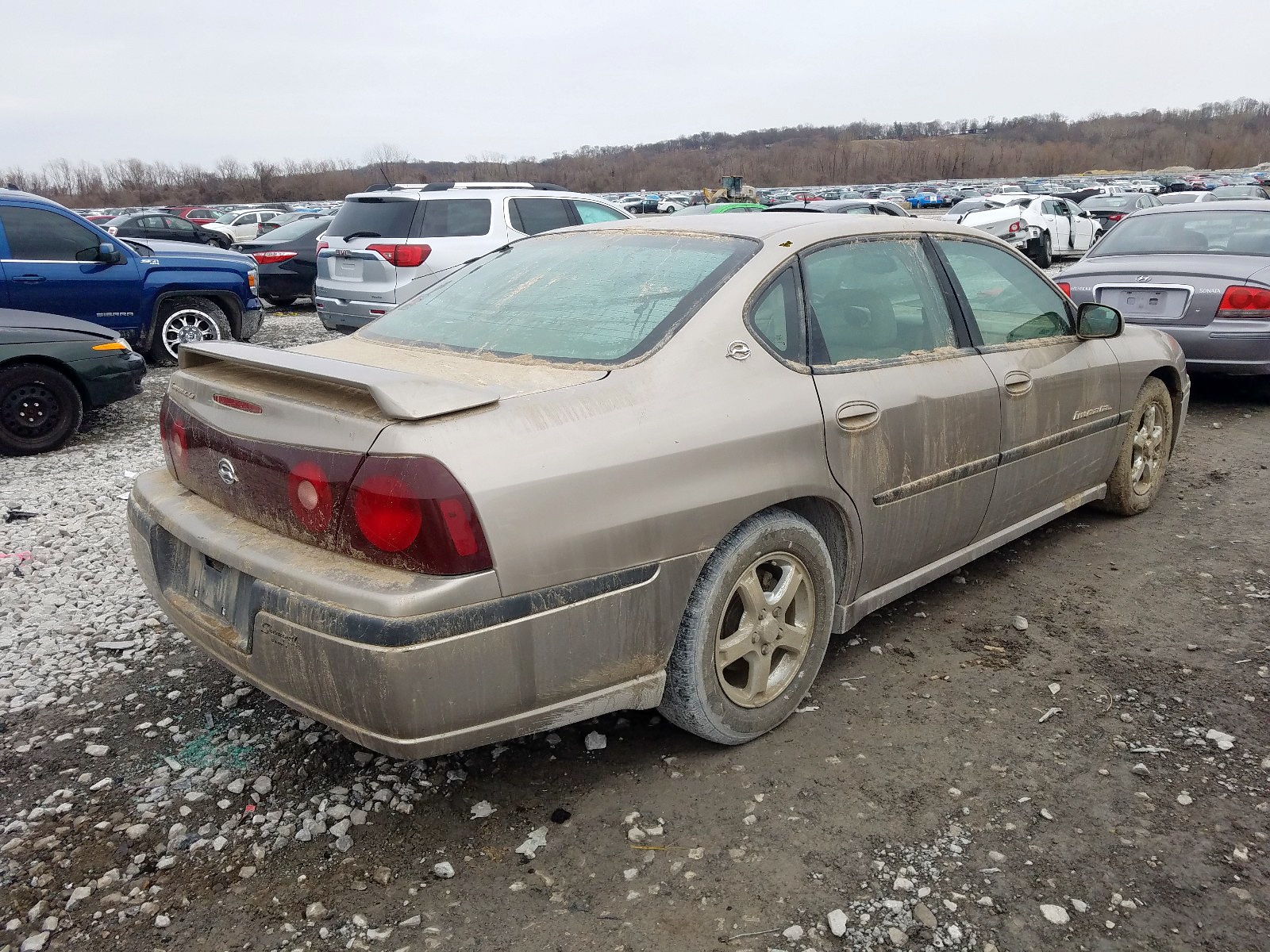 Photo 3 VIN: 2G1WH55K039443021 - CHEVROLET IMPALA LS 