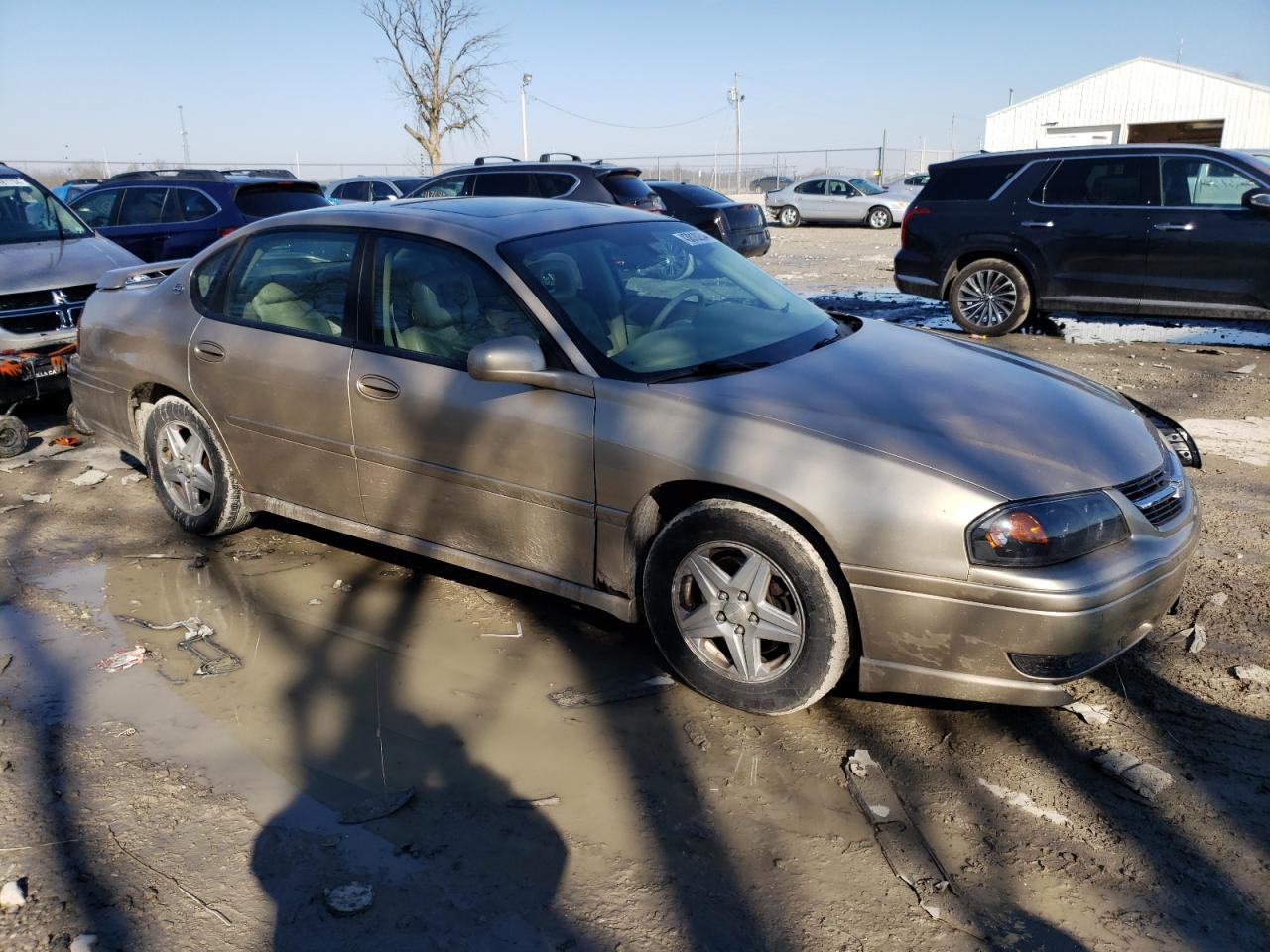 Photo 3 VIN: 2G1WH55K159146293 - CHEVROLET IMPALA 