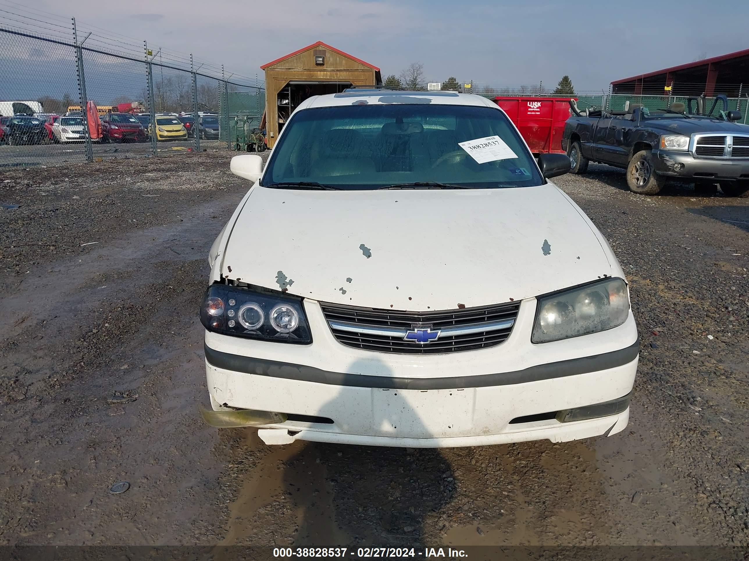 Photo 11 VIN: 2G1WH55K639357065 - CHEVROLET IMPALA 