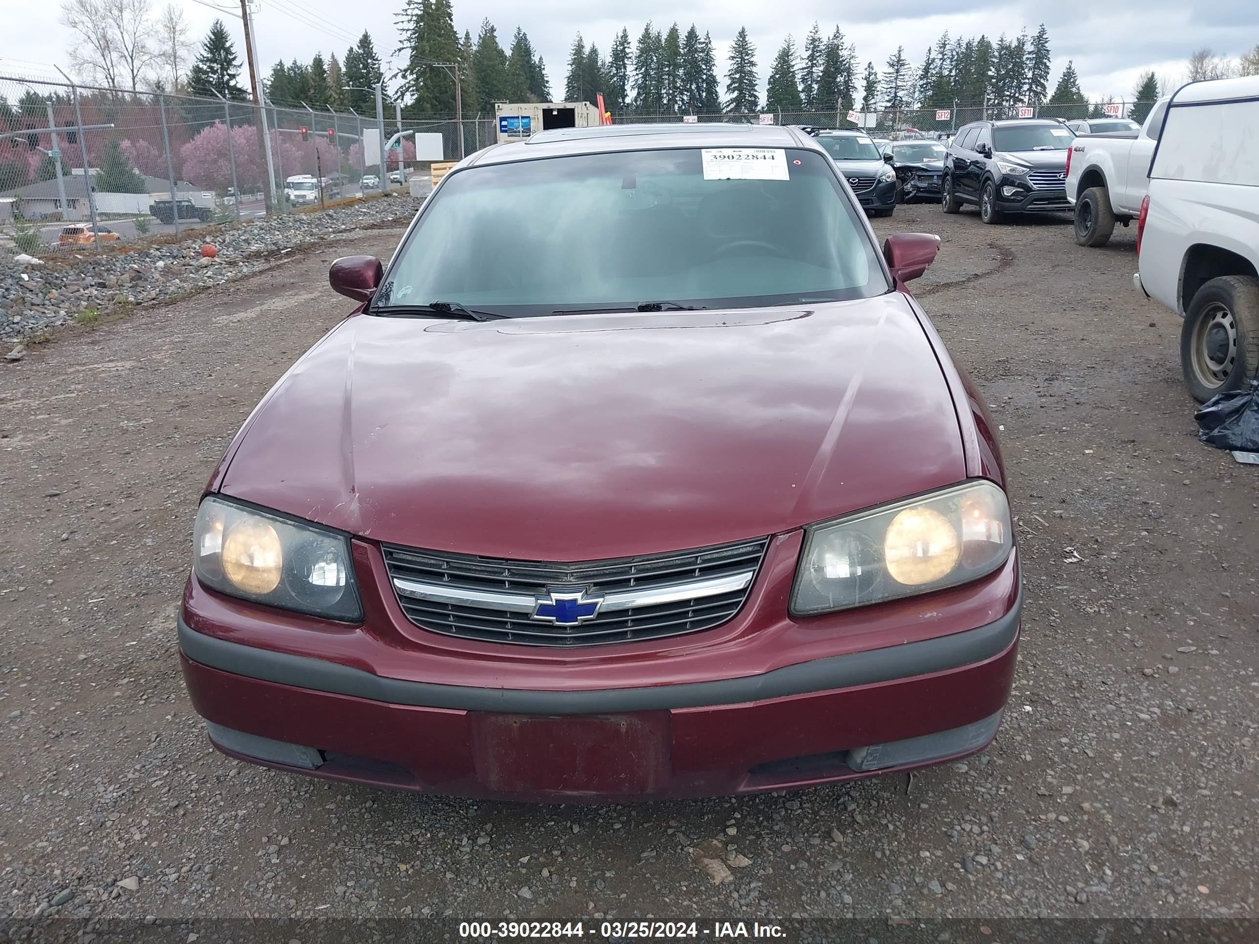 Photo 11 VIN: 2G1WH55K819176756 - CHEVROLET IMPALA 