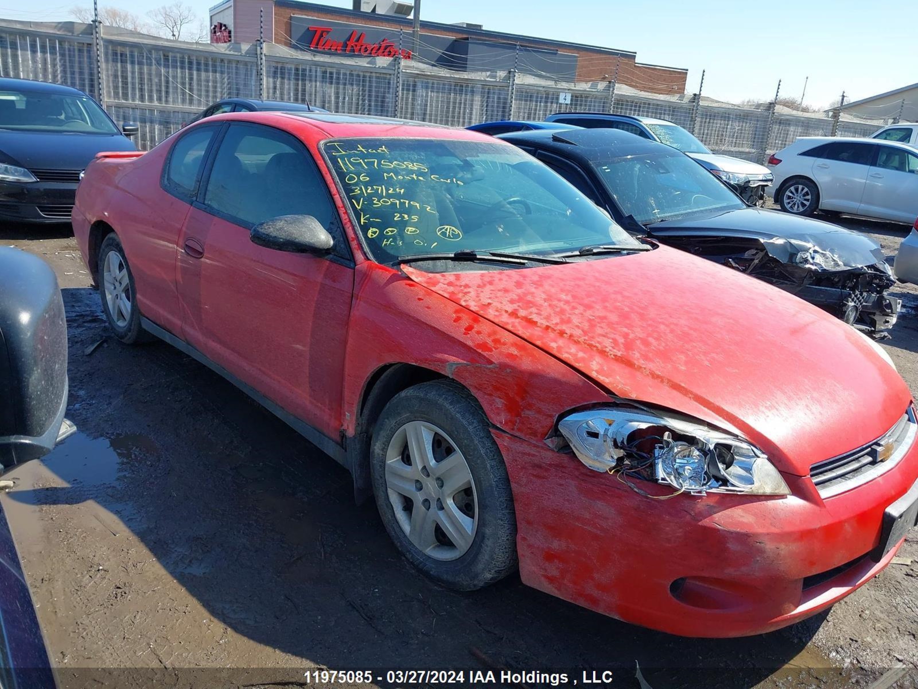 Photo 12 VIN: 2G1WJ15N169309792 - CHEVROLET MONTE CARLO 