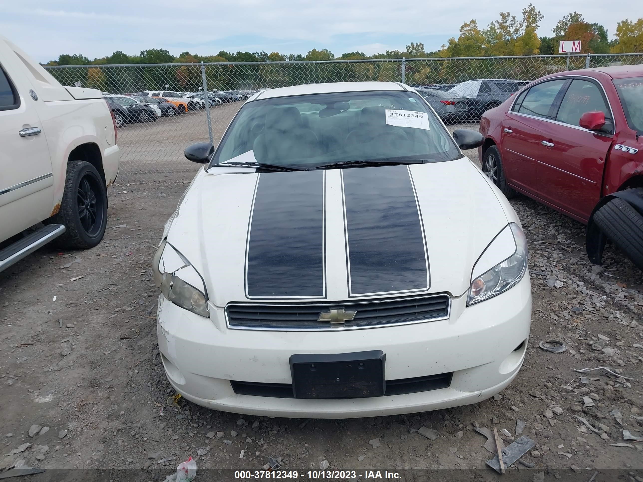 Photo 11 VIN: 2G1WK15K179417916 - CHEVROLET MONTE CARLO 