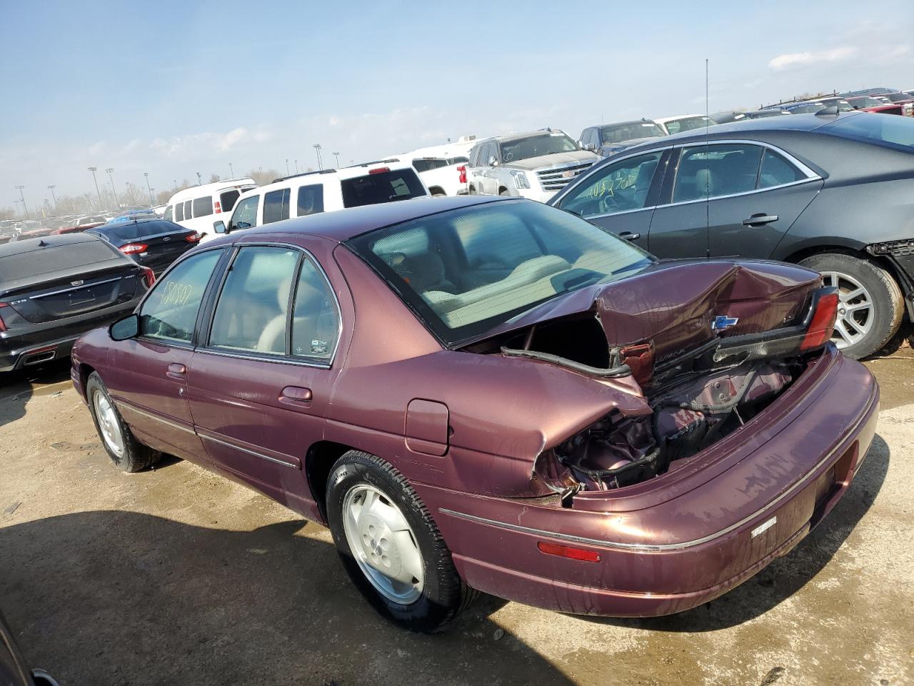 Photo 1 VIN: 2G1WL52M0X9241337 - CHEVROLET LUMINA 