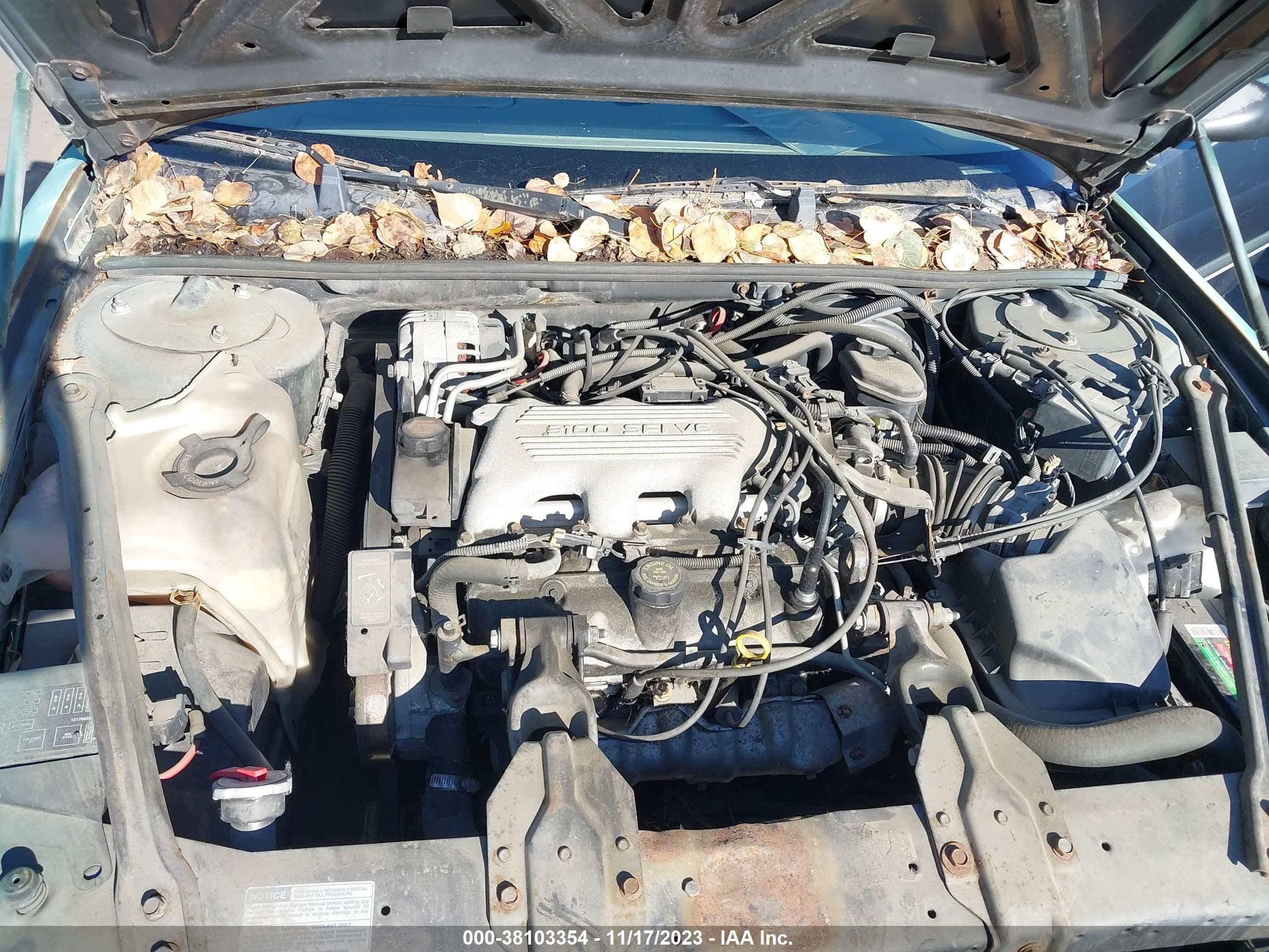 Photo 9 VIN: 2G1WL52M1T9216554 - CHEVROLET LUMINA 