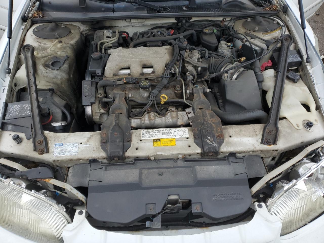 Photo 10 VIN: 2G1WL52M1V9109779 - CHEVROLET LUMINA 