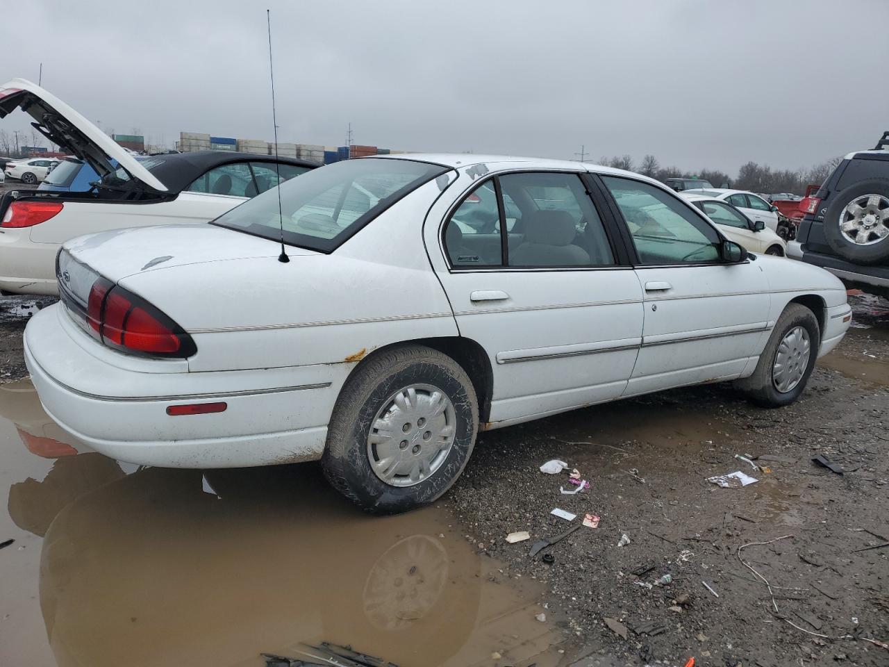 Photo 2 VIN: 2G1WL52M1V9109779 - CHEVROLET LUMINA 