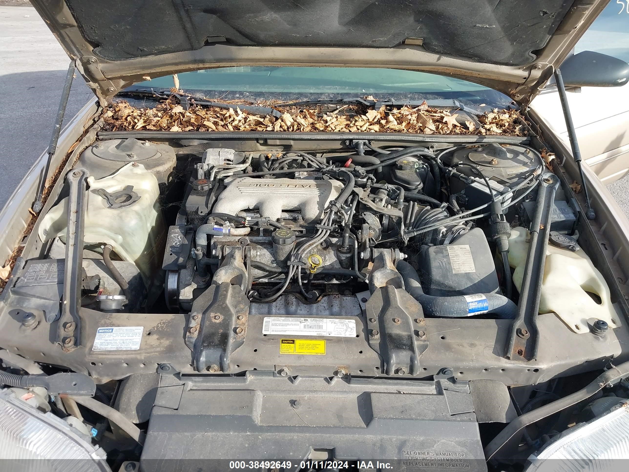 Photo 9 VIN: 2G1WL52M3W9242075 - CHEVROLET LUMINA 