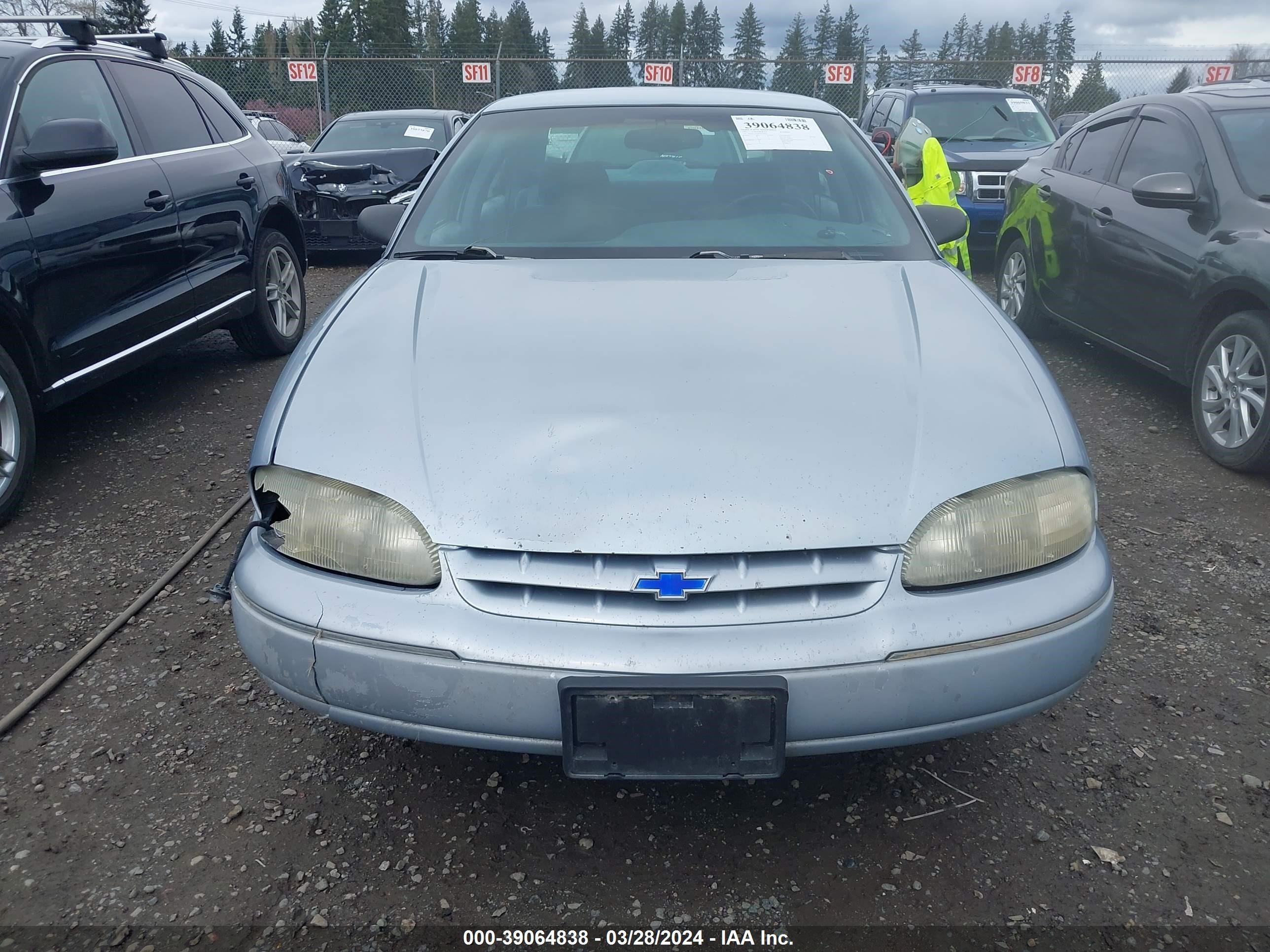 Photo 11 VIN: 2G1WL52M5V9279076 - CHEVROLET LUMINA 