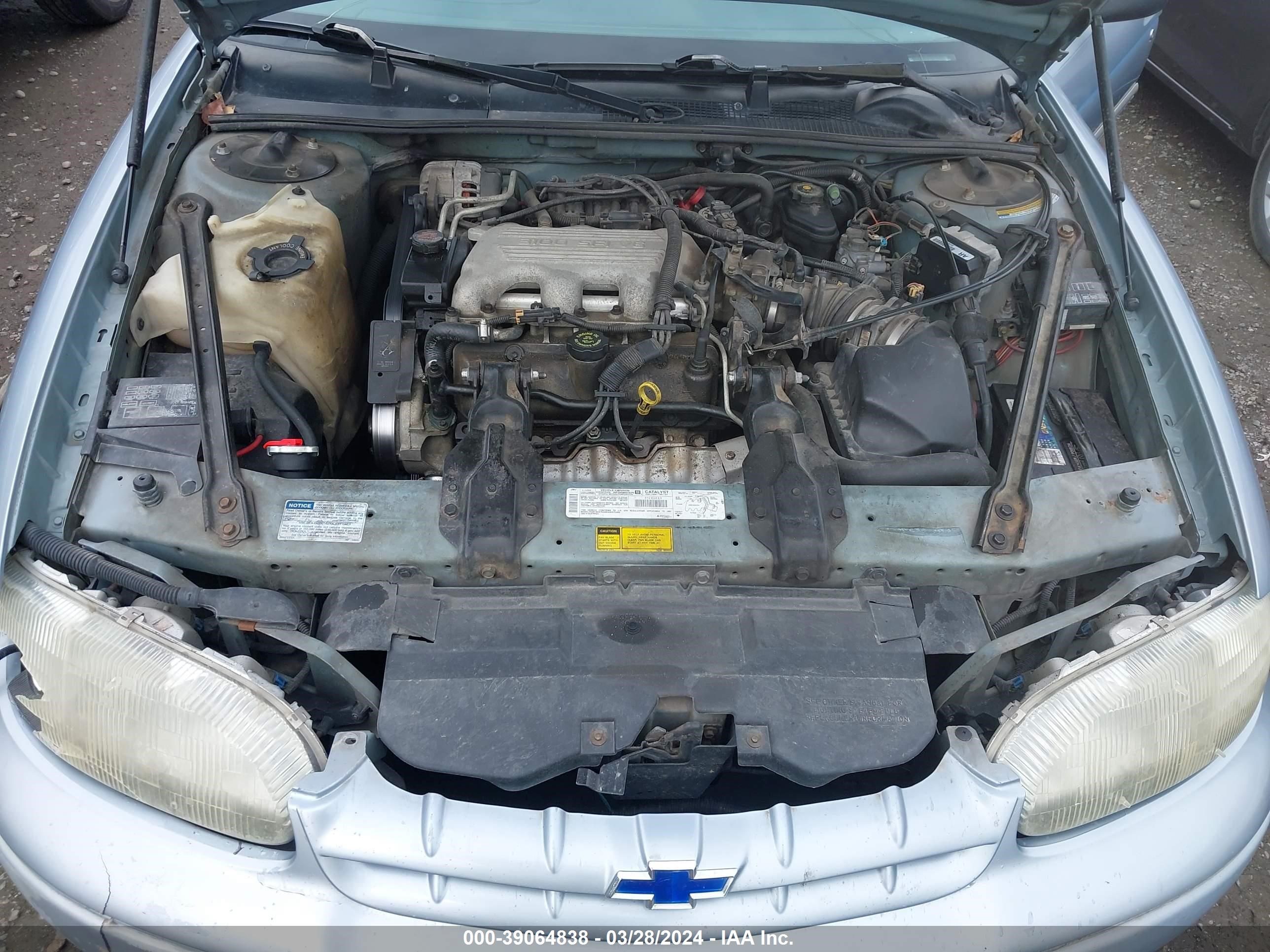 Photo 9 VIN: 2G1WL52M5V9279076 - CHEVROLET LUMINA 