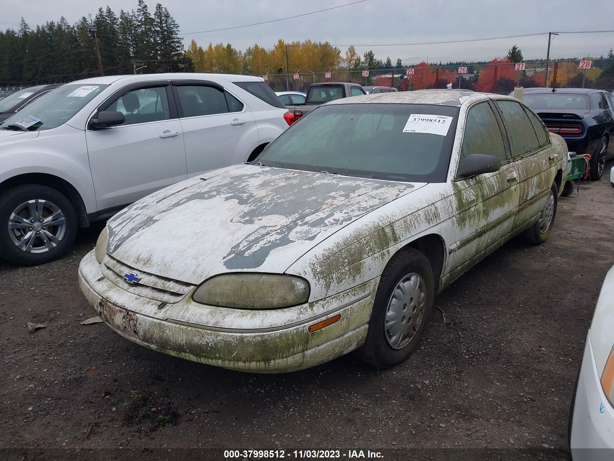 Photo 1 VIN: 2G1WL52M6V1169068 - CHEVROLET LUMINA 