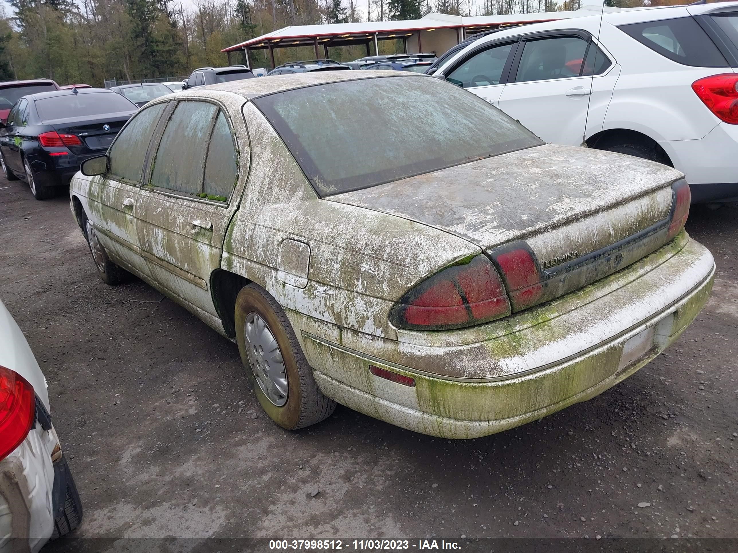 Photo 2 VIN: 2G1WL52M6V1169068 - CHEVROLET LUMINA 