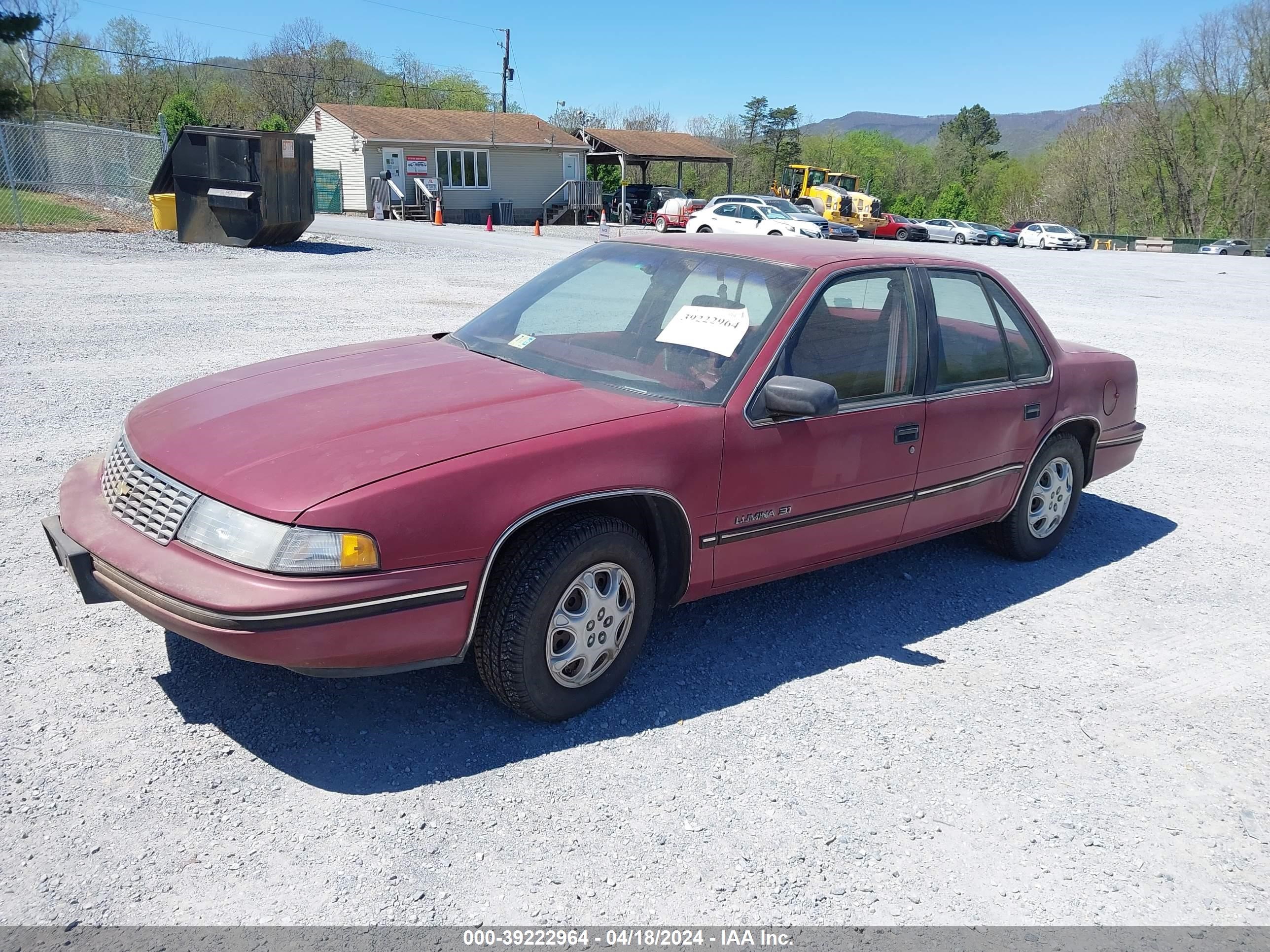 Photo 1 VIN: 2G1WL54T4L9271388 - CHEVROLET LUMINA 