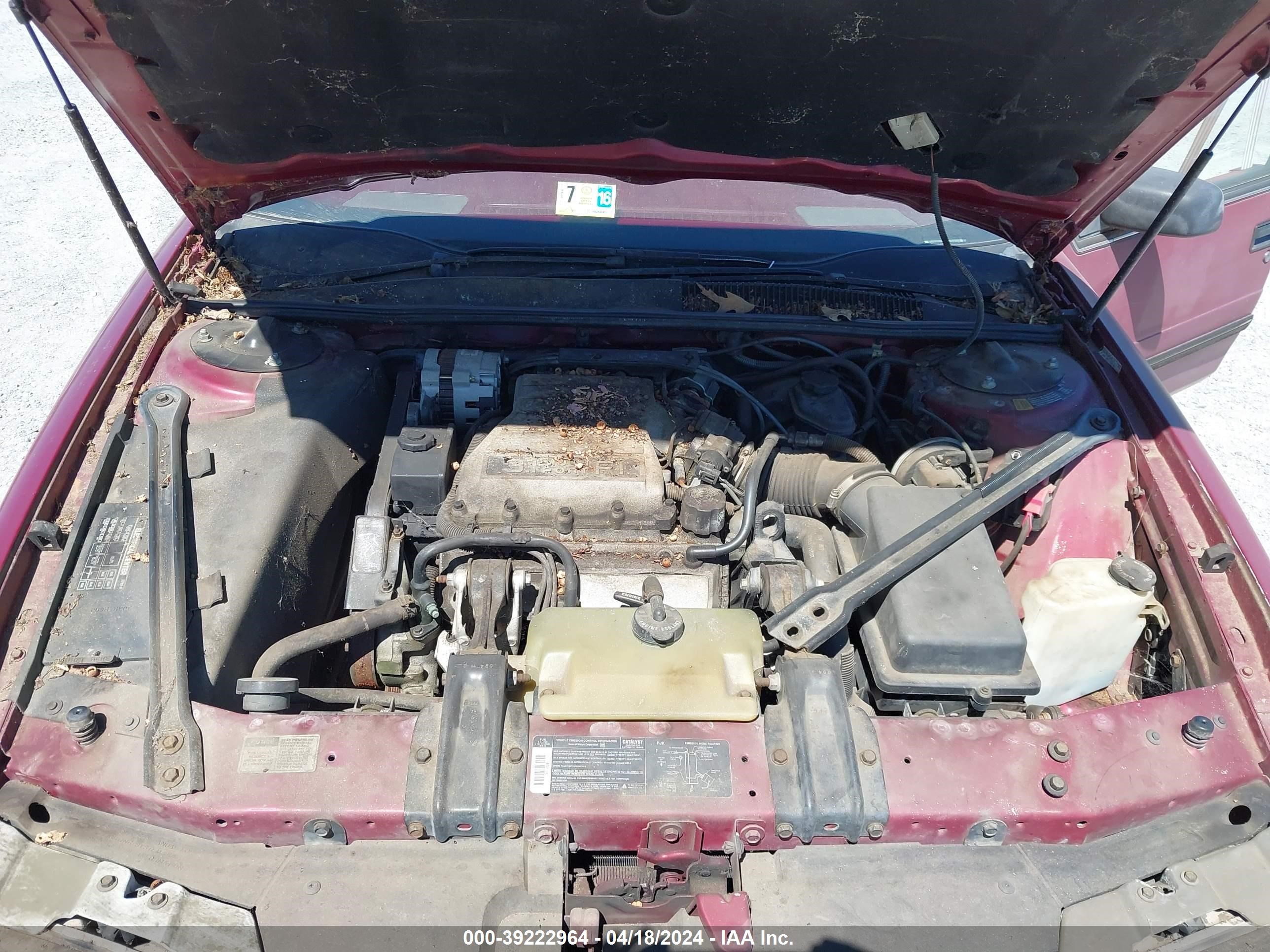 Photo 9 VIN: 2G1WL54T4L9271388 - CHEVROLET LUMINA 