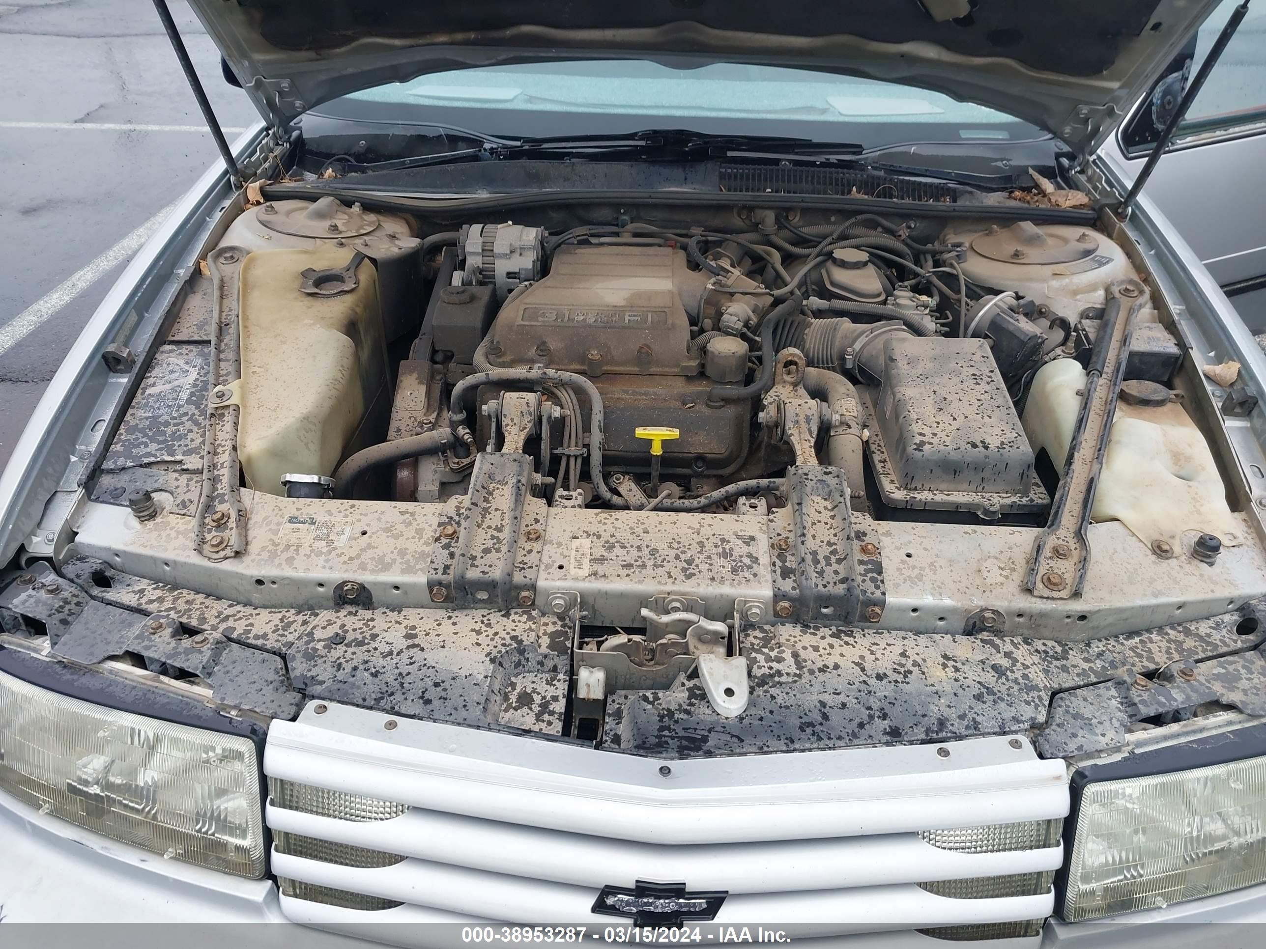 Photo 9 VIN: 2G1WL54T6P1152133 - CHEVROLET LUMINA 