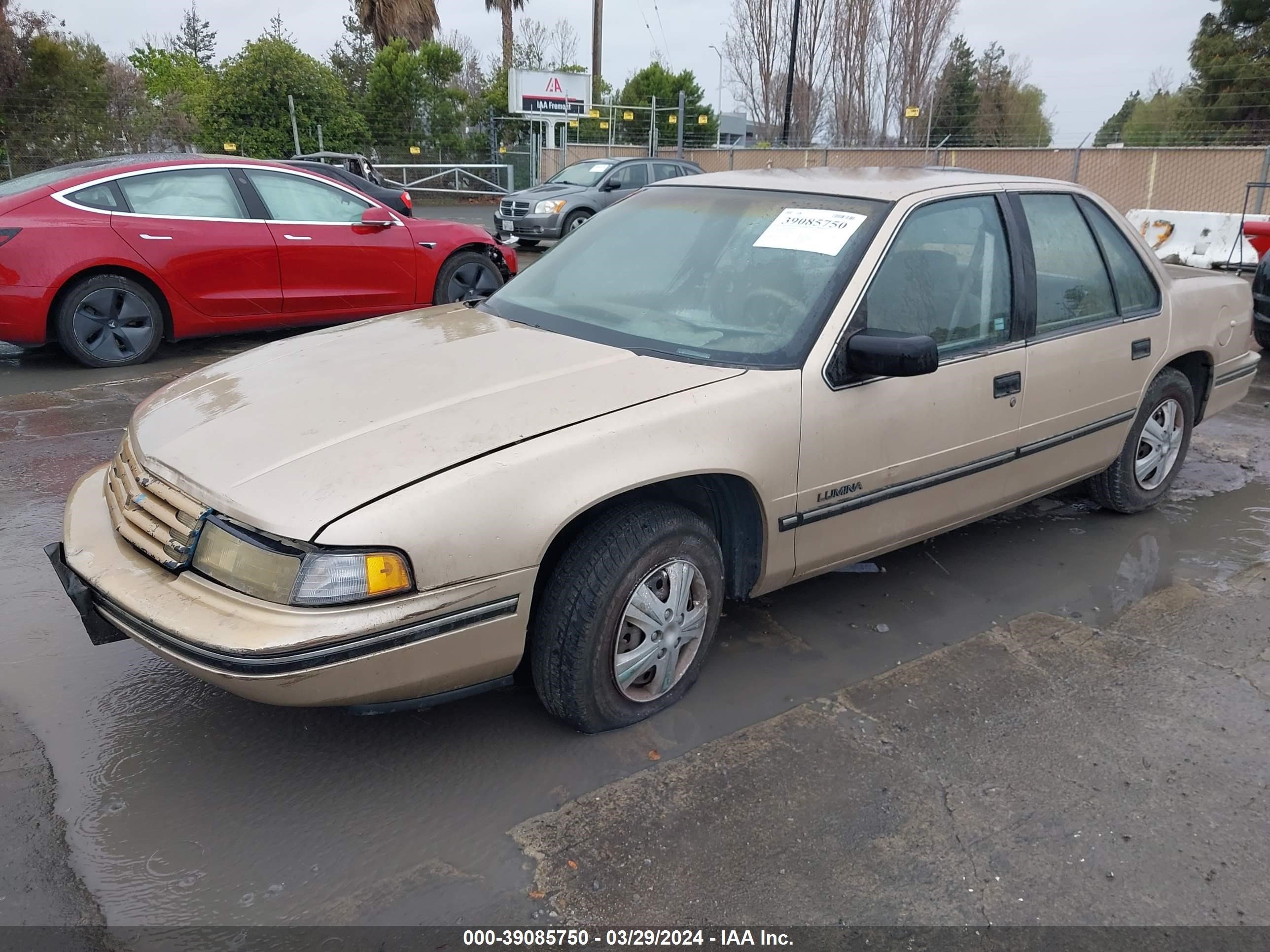 Photo 1 VIN: 2G1WL54T6P9125323 - CHEVROLET LUMINA 