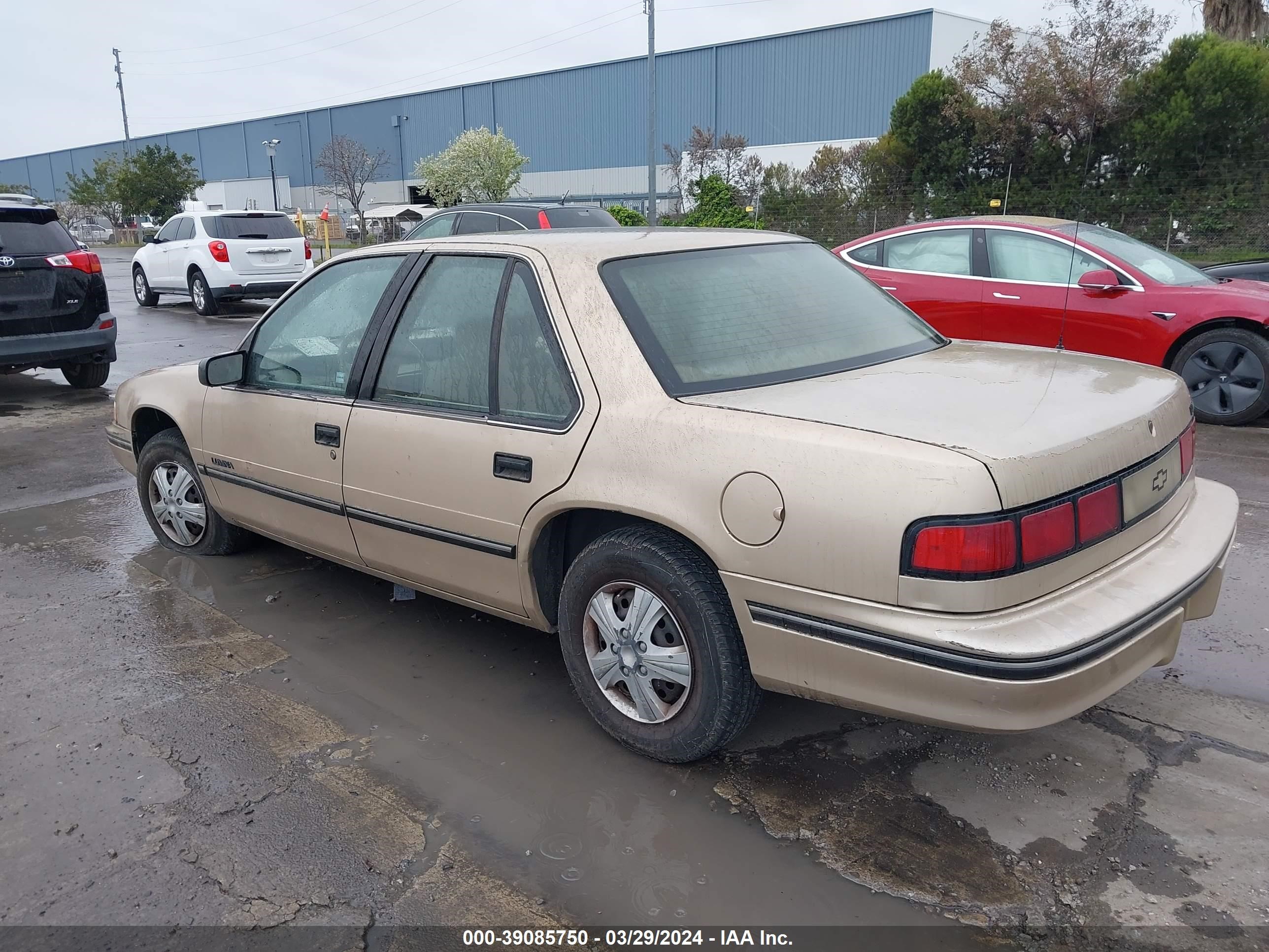 Photo 2 VIN: 2G1WL54T6P9125323 - CHEVROLET LUMINA 