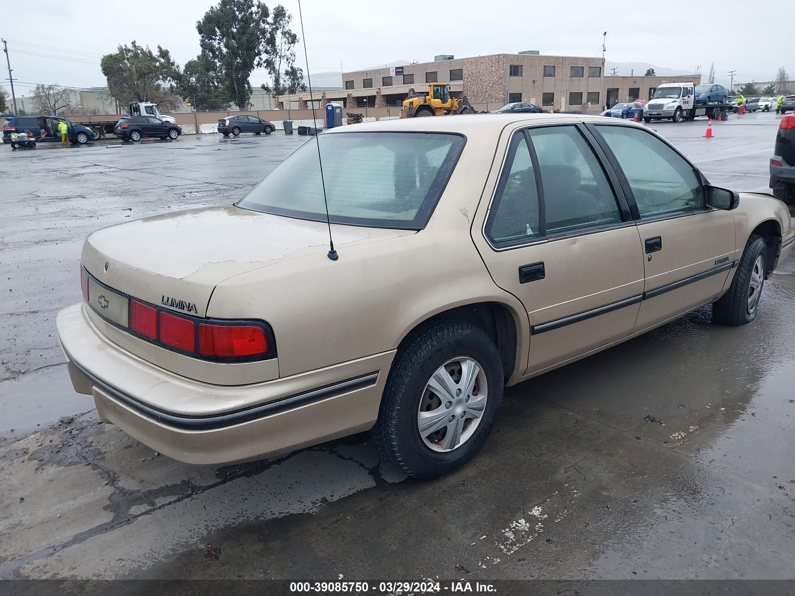 Photo 3 VIN: 2G1WL54T6P9125323 - CHEVROLET LUMINA 