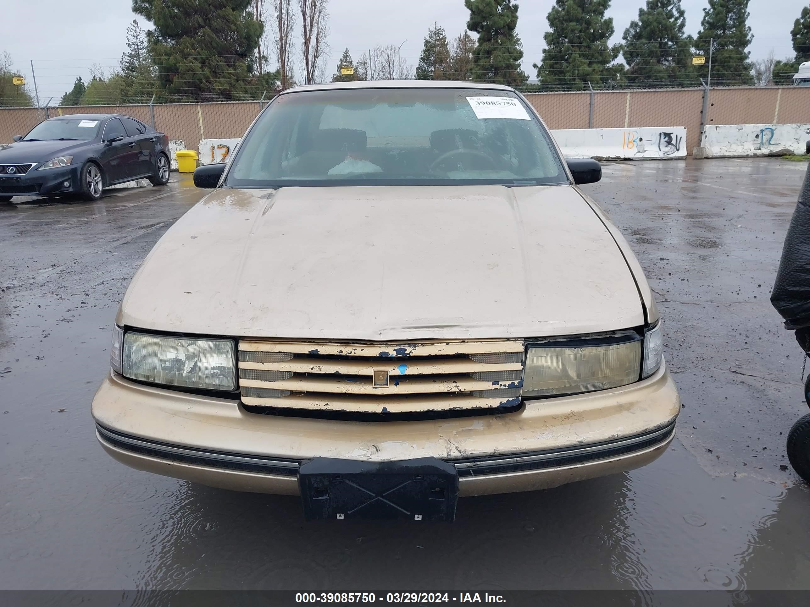 Photo 5 VIN: 2G1WL54T6P9125323 - CHEVROLET LUMINA 