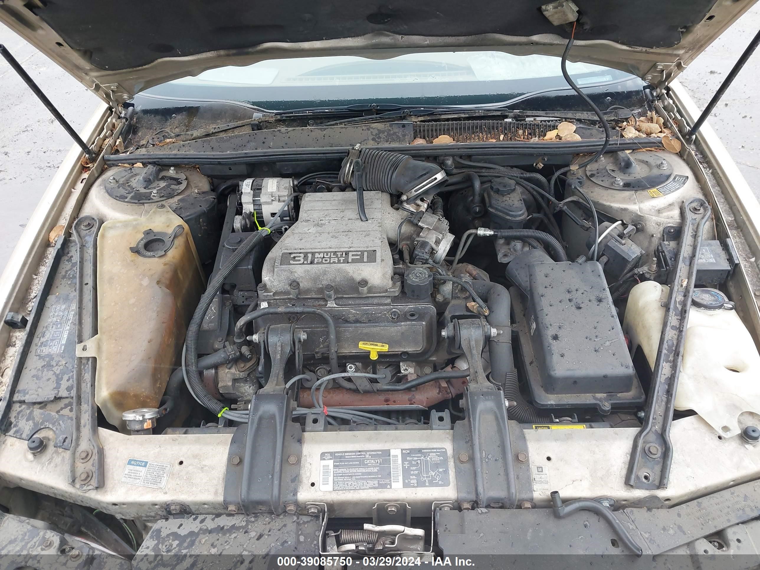 Photo 9 VIN: 2G1WL54T6P9125323 - CHEVROLET LUMINA 