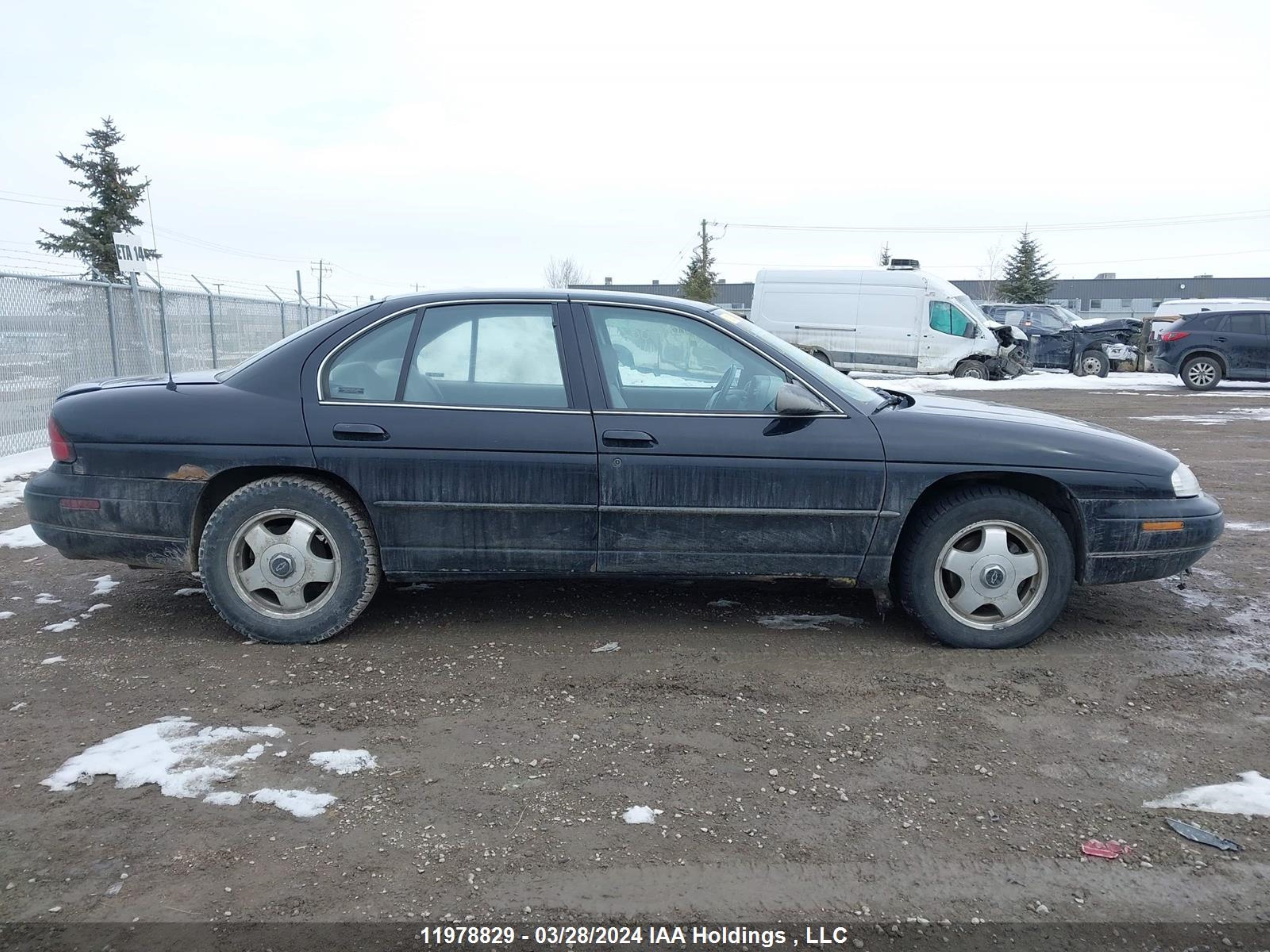 Photo 12 VIN: 2G1WN52K7X9262761 - CHEVROLET LUMINA 