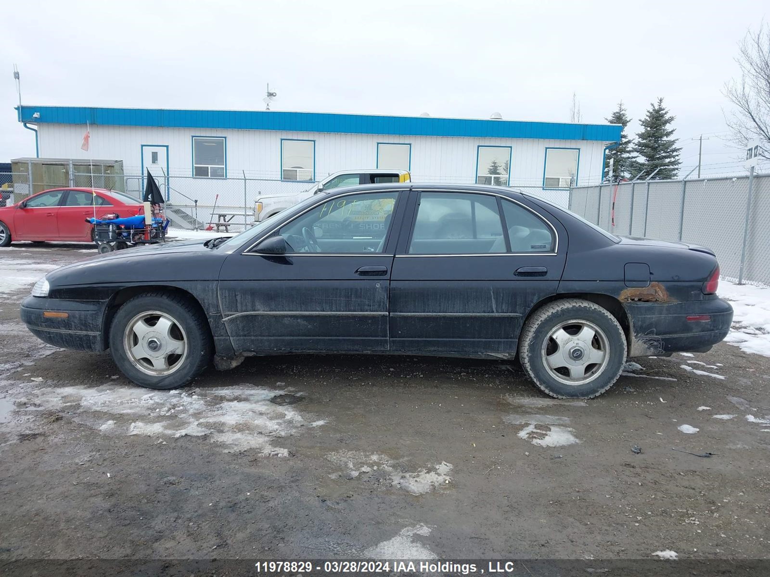 Photo 13 VIN: 2G1WN52K7X9262761 - CHEVROLET LUMINA 