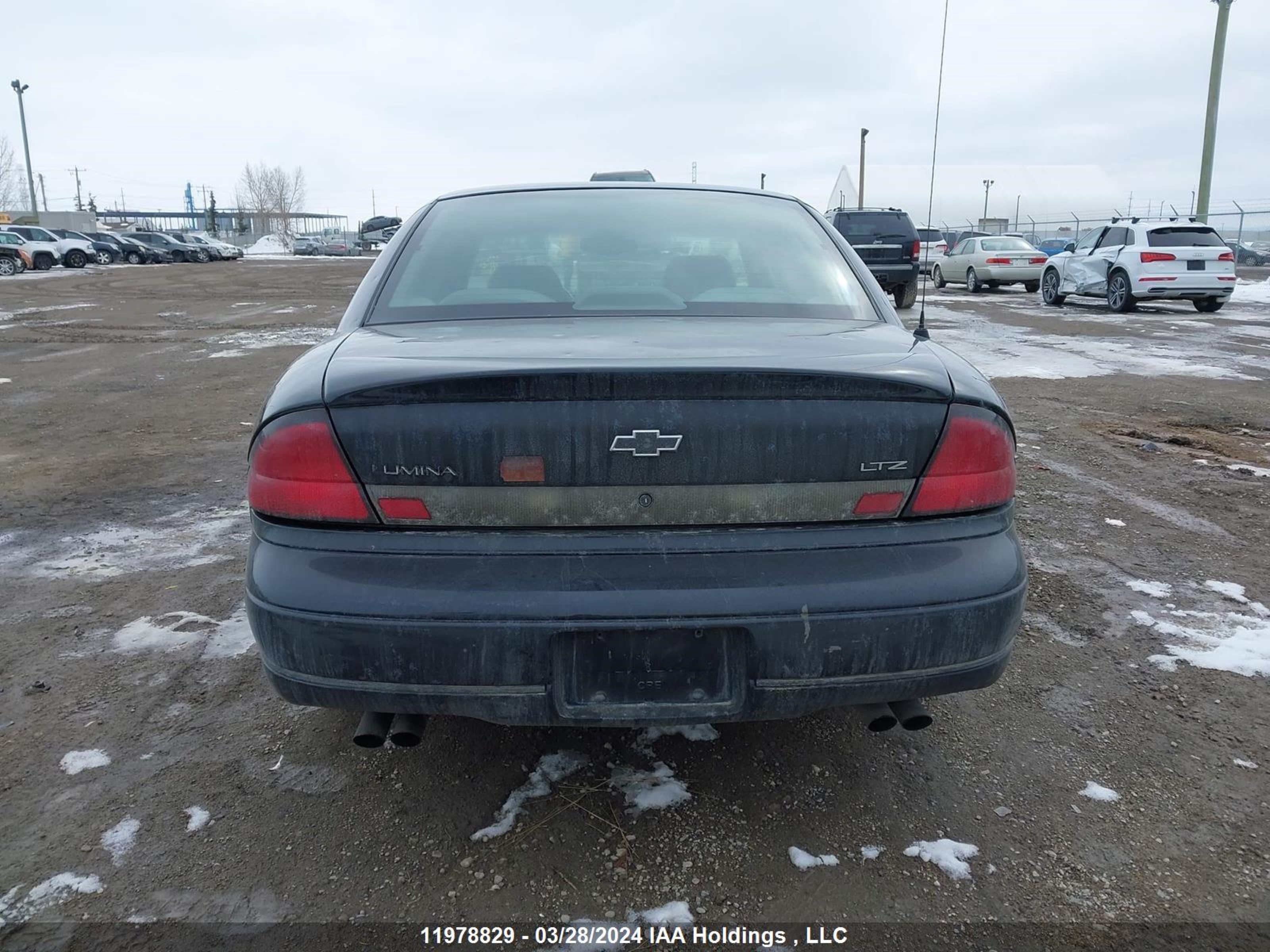 Photo 15 VIN: 2G1WN52K7X9262761 - CHEVROLET LUMINA 