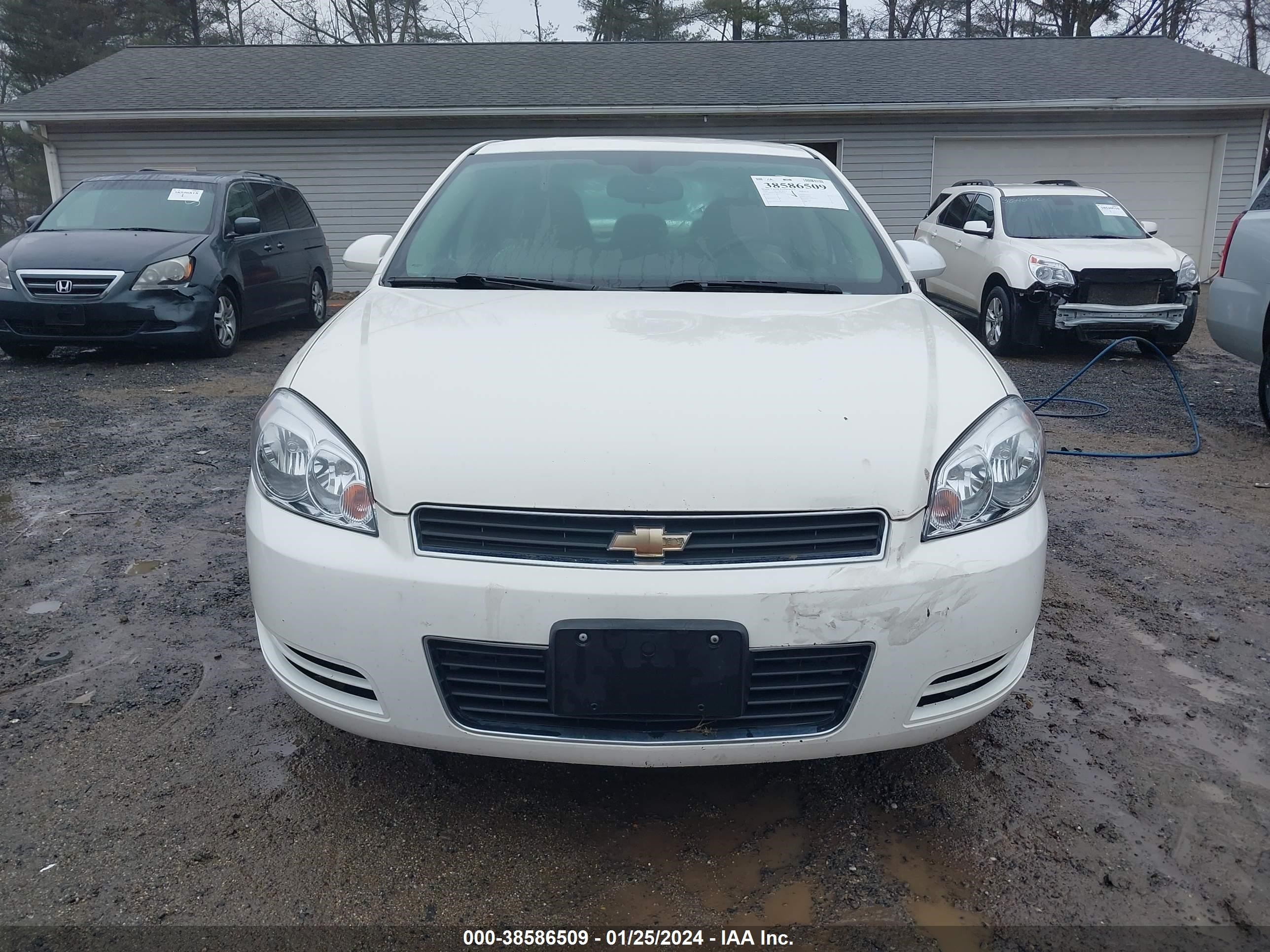 Photo 11 VIN: 2G1WT57K691283570 - CHEVROLET IMPALA 