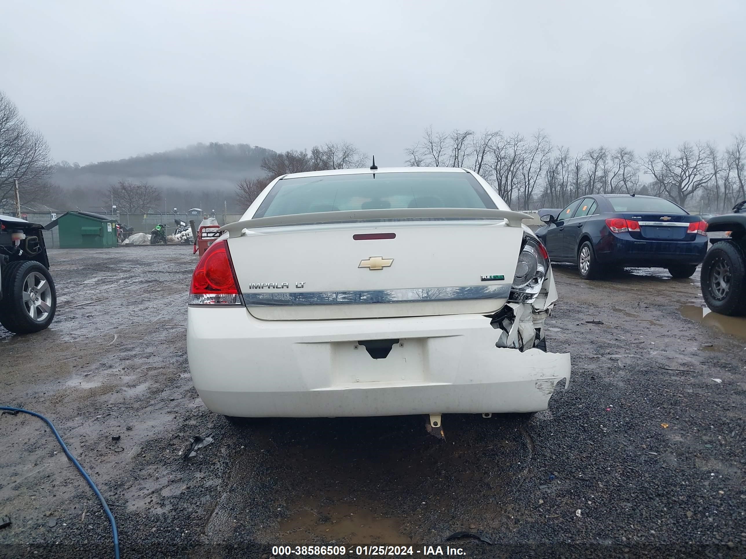 Photo 15 VIN: 2G1WT57K691283570 - CHEVROLET IMPALA 