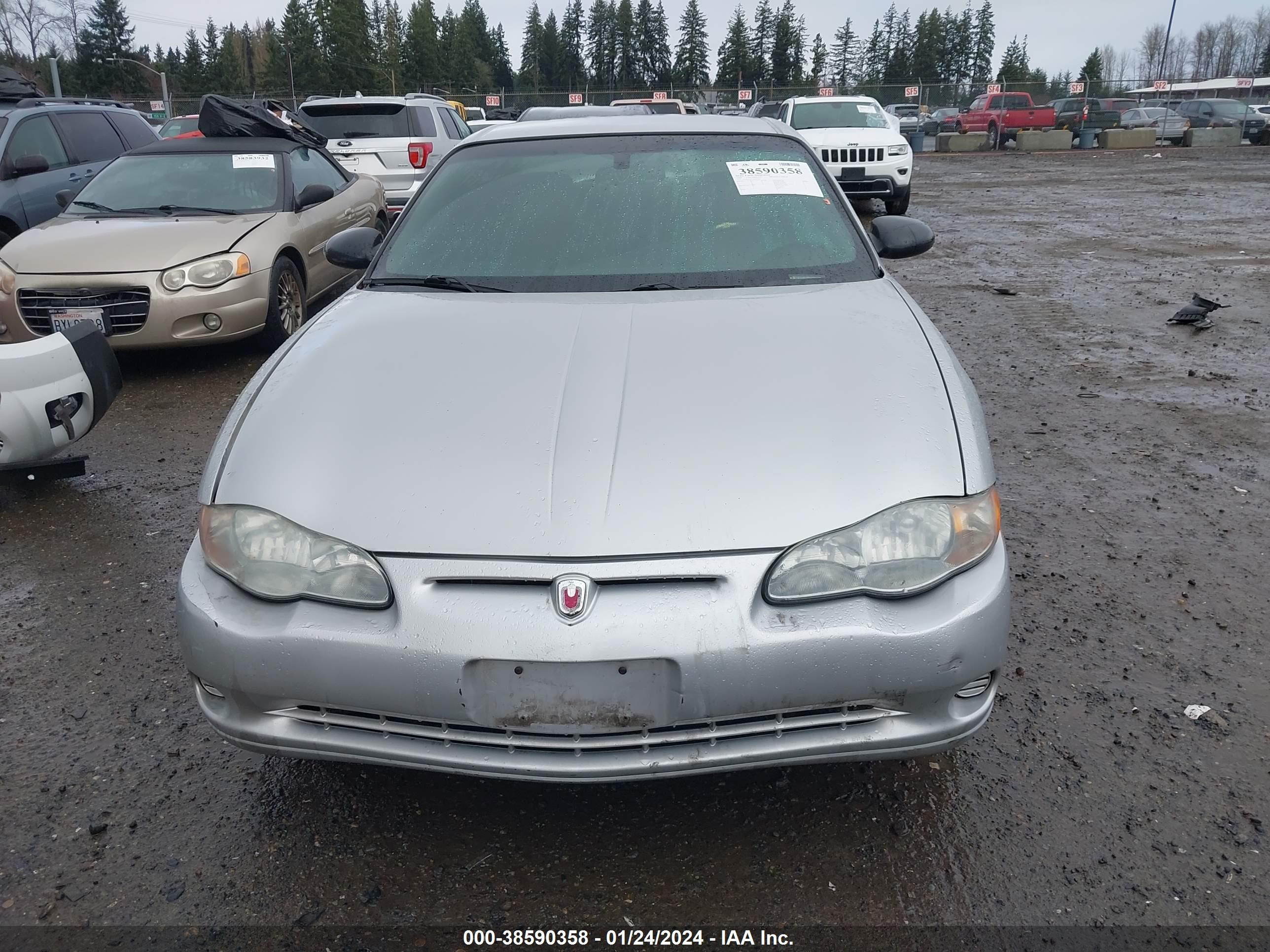 Photo 11 VIN: 2G1WW12E249287045 - CHEVROLET MONTE CARLO 