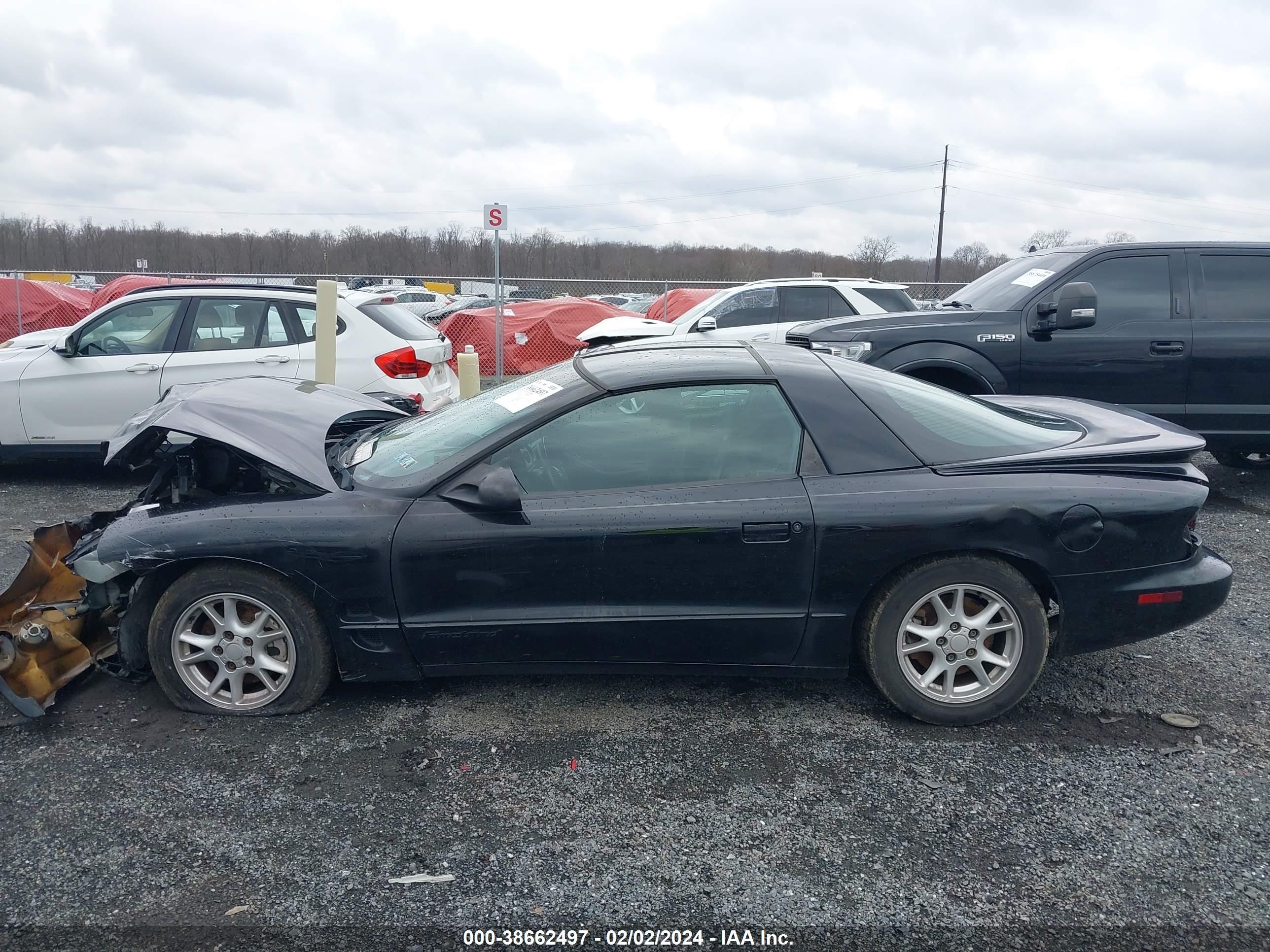 Photo 13 VIN: 2G2FS22K222106700 - PONTIAC FIREBIRD 