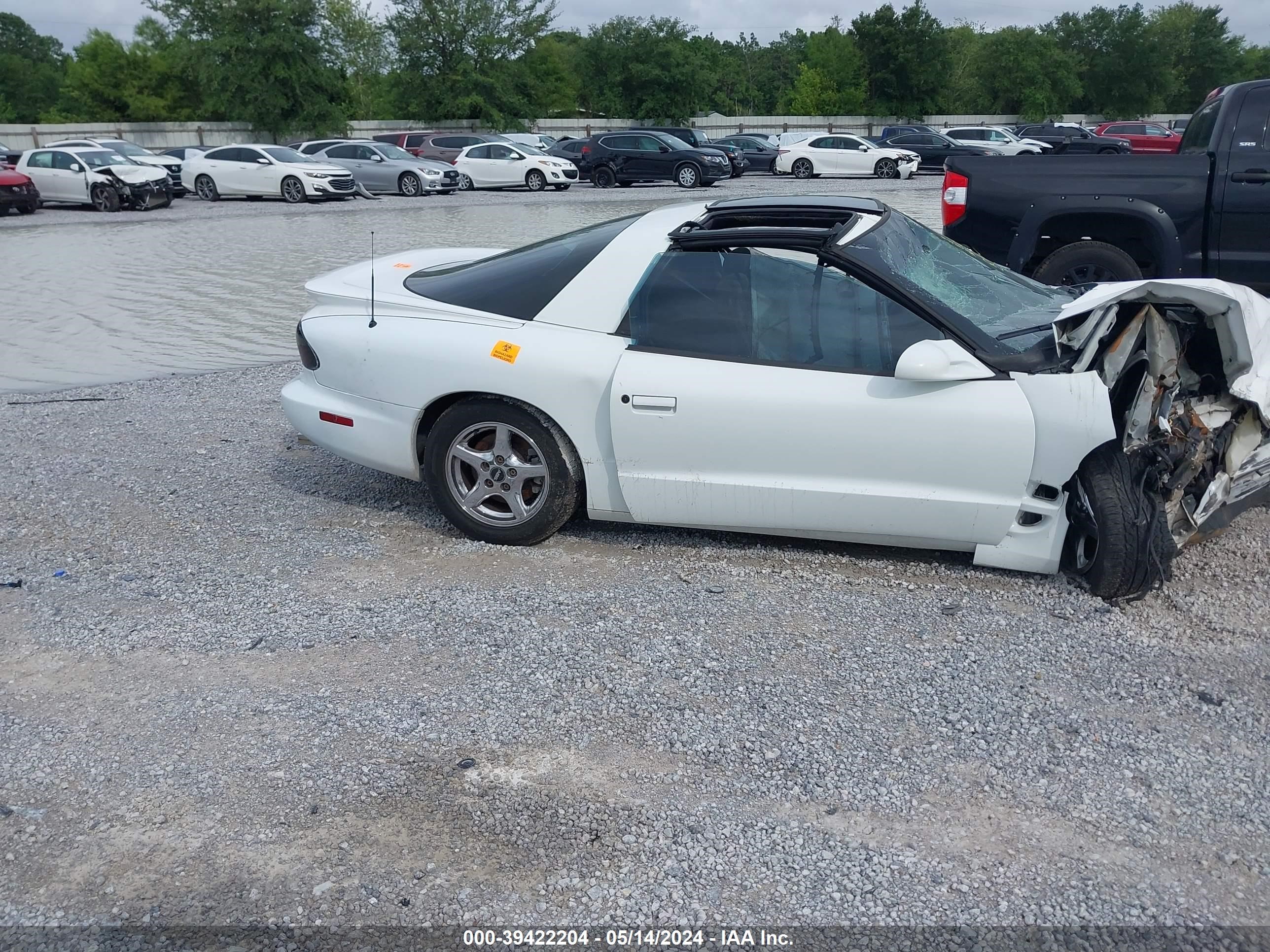 Photo 12 VIN: 2G2FS22K322118306 - PONTIAC FIREBIRD 