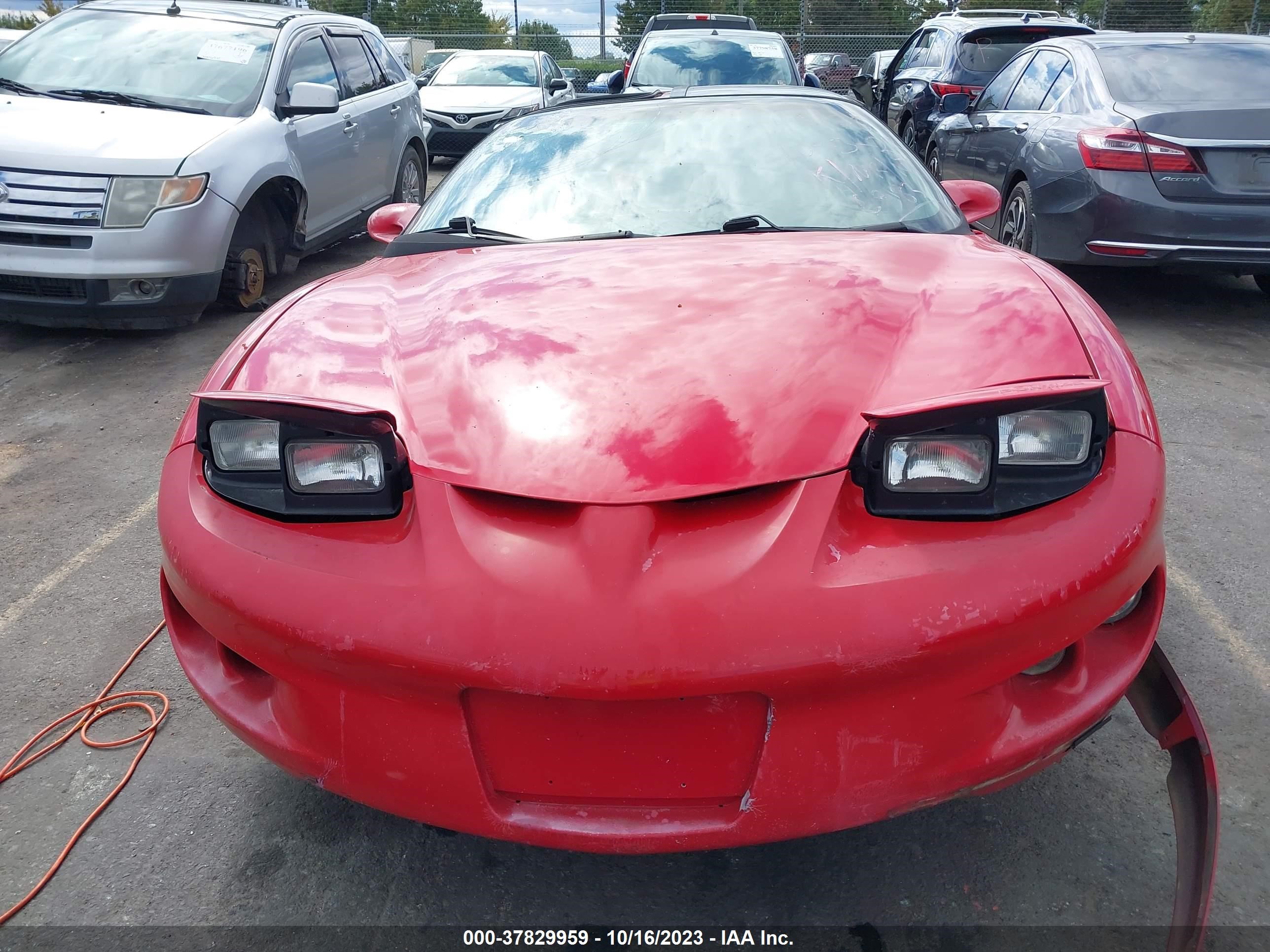 Photo 11 VIN: 2G2FS22K422156983 - PONTIAC FIREBIRD 