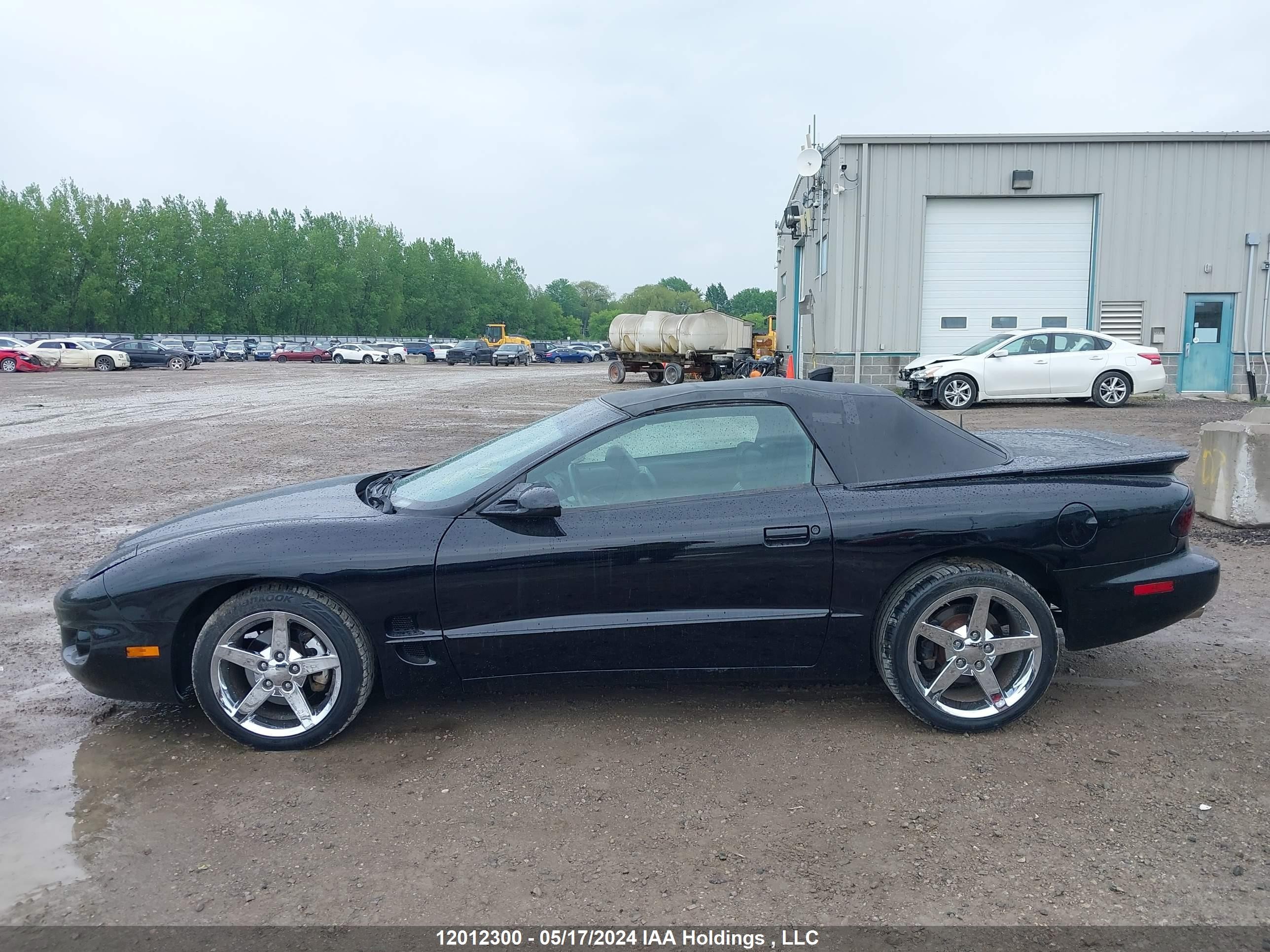 Photo 13 VIN: 2G2FS32K3X2231511 - PONTIAC FIREBIRD 