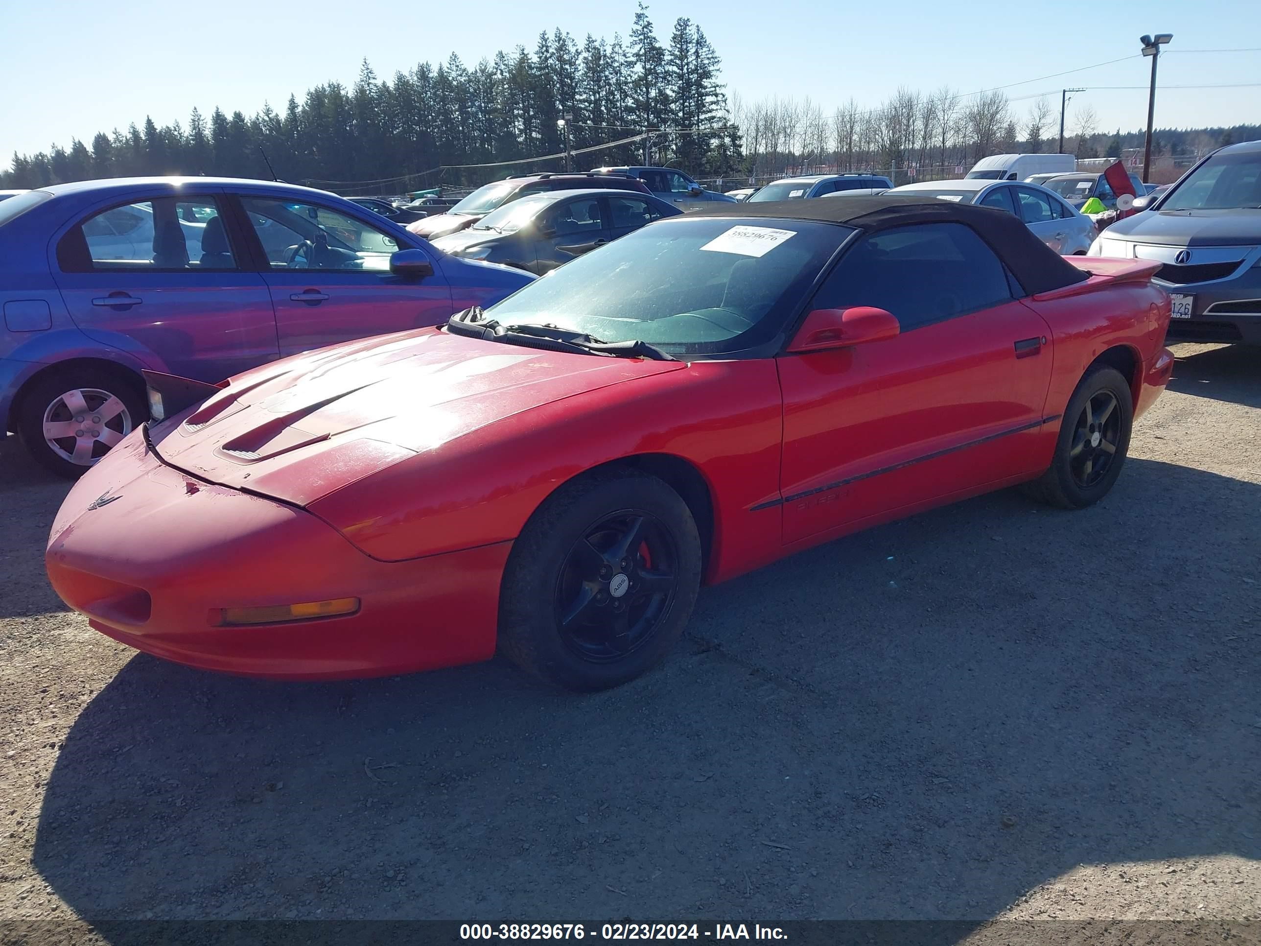 Photo 1 VIN: 2G2FS32K4V2201298 - PONTIAC FIREBIRD 