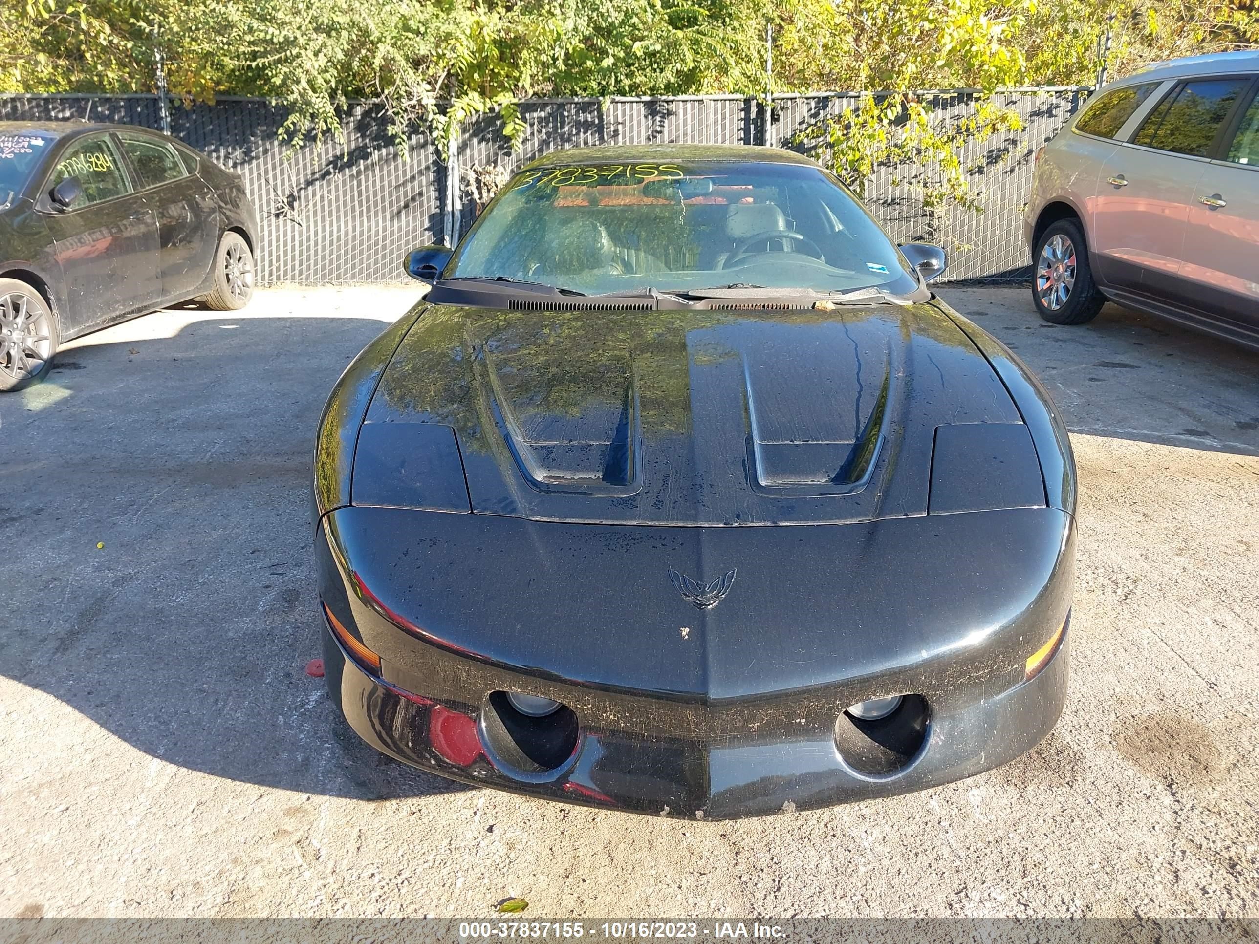 Photo 5 VIN: 2G2FV22P1S2230928 - PONTIAC FIREBIRD 