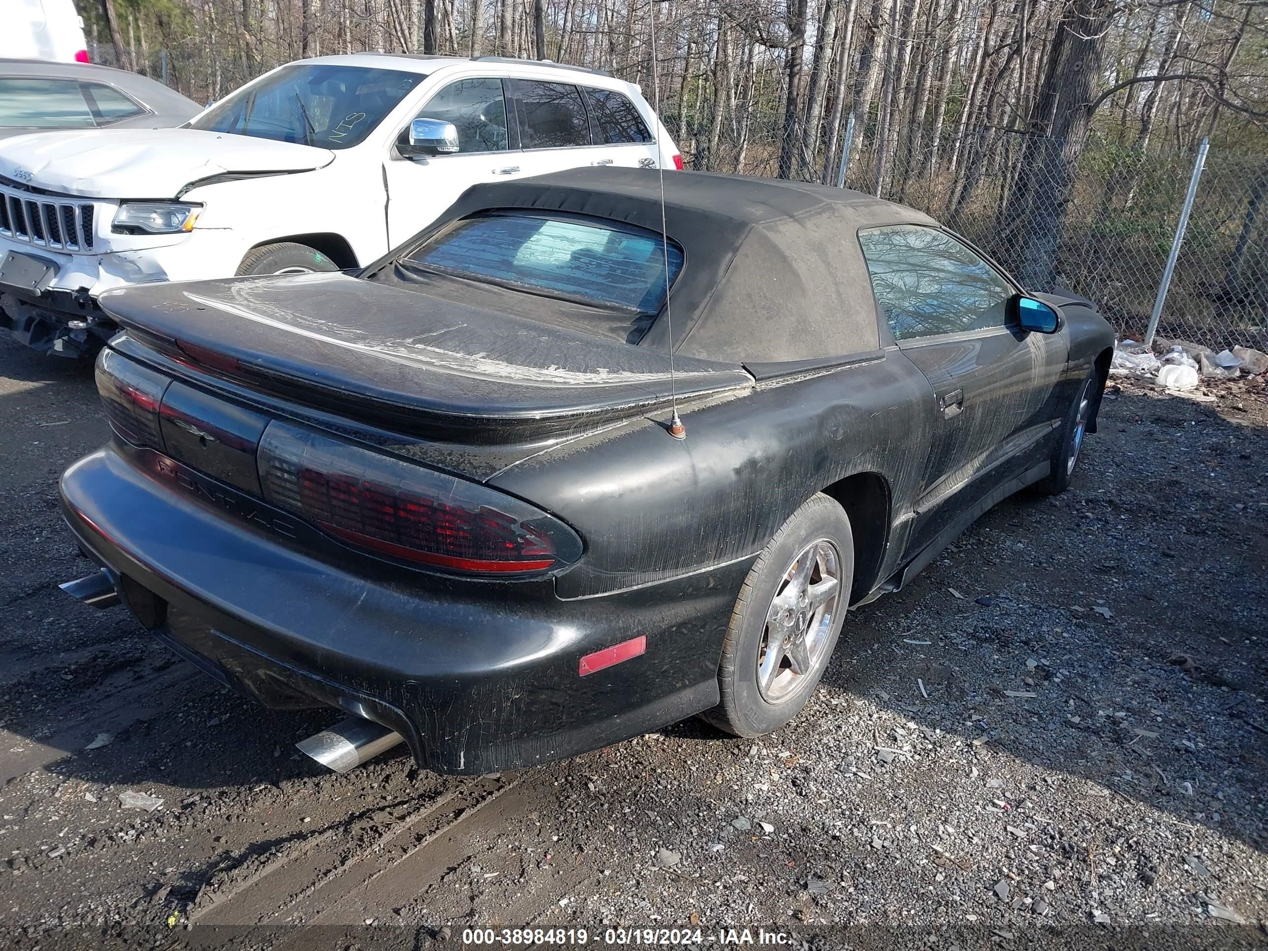 Photo 3 VIN: 2G2FV32P2T2226748 - PONTIAC FIREBIRD 