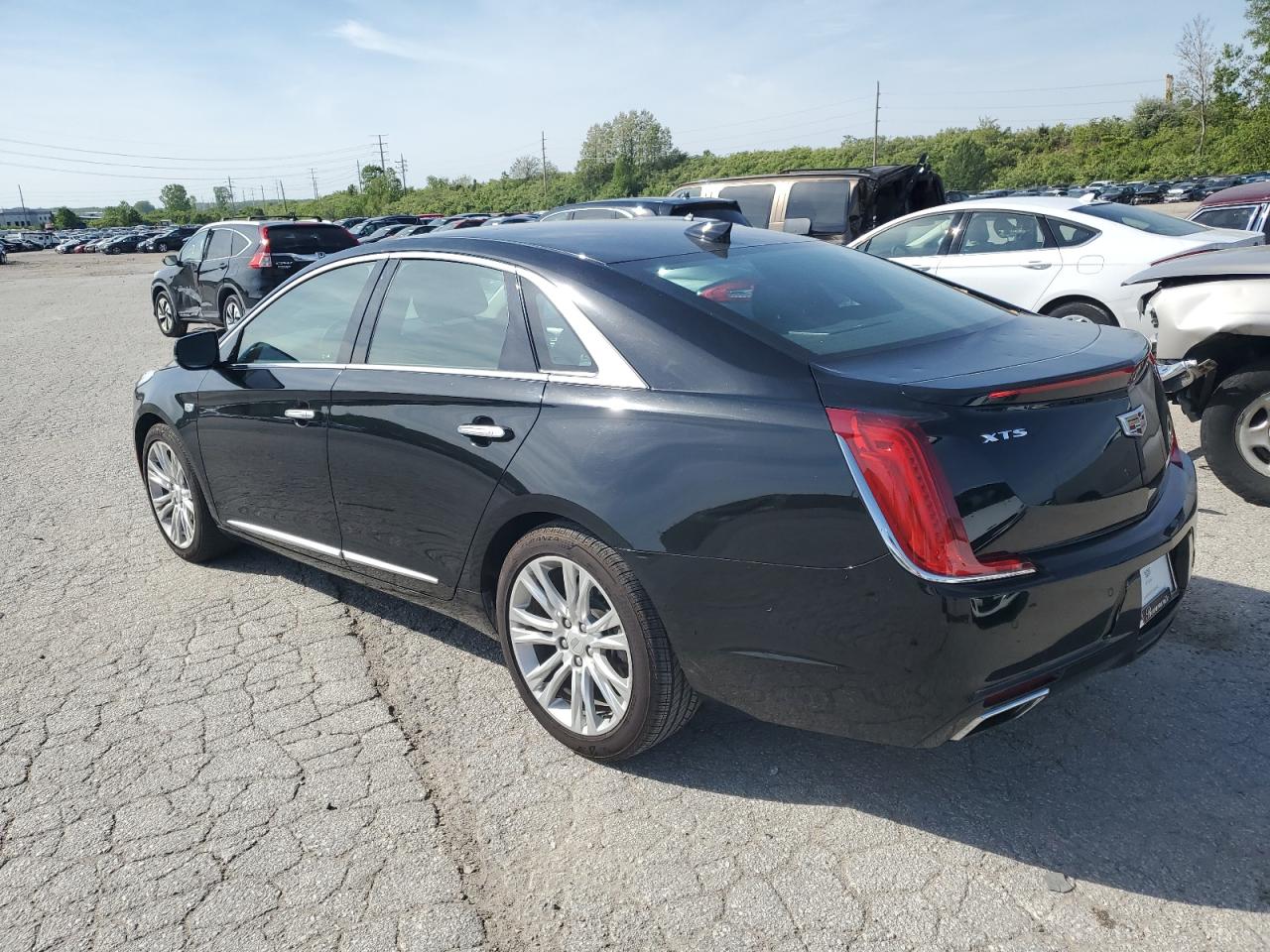 Photo 1 VIN: 2G61M5S31K9153267 - CADILLAC XTS 